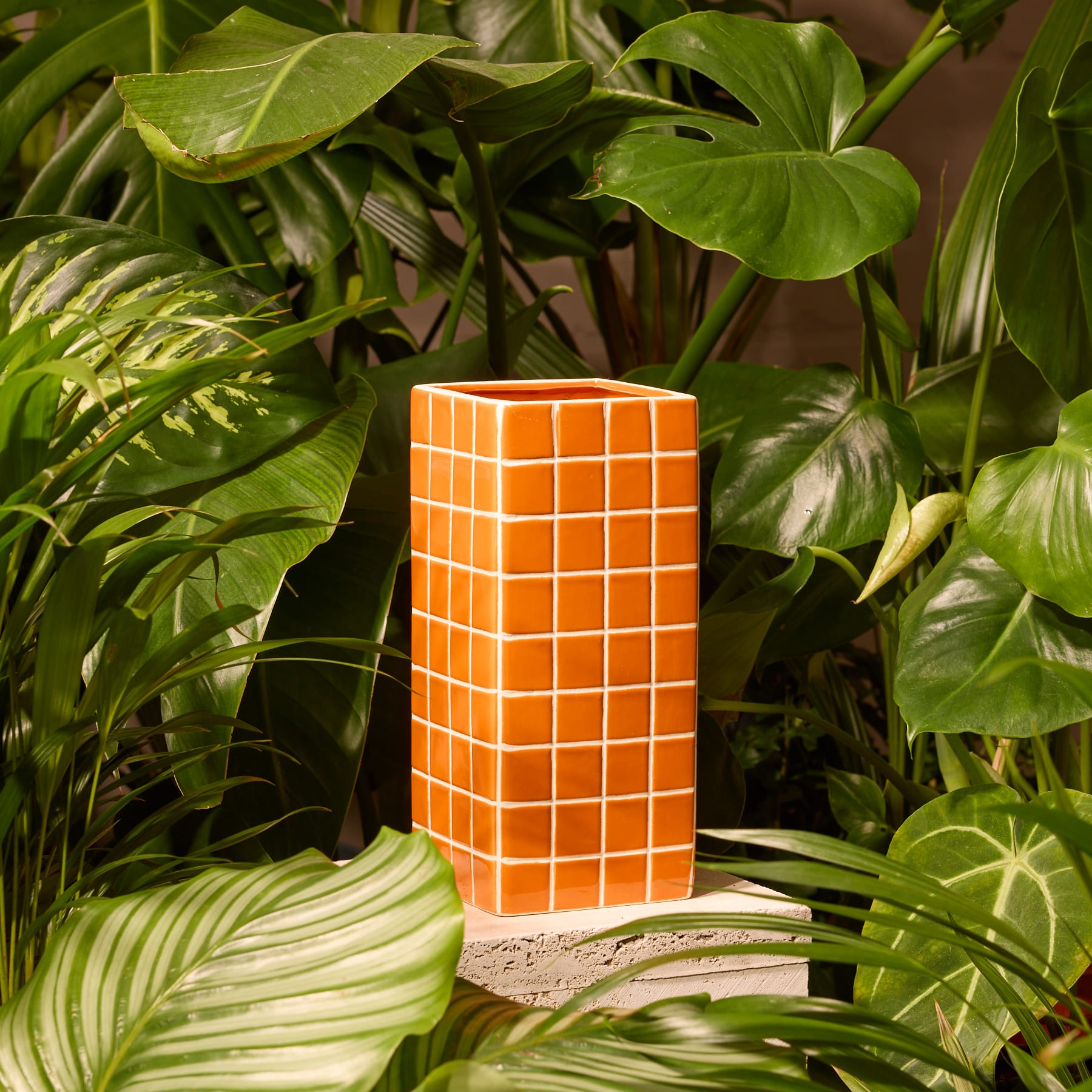 Eine leuchtend orangefarbene Vase mit Schachbrettmuster enthält einen Strauß violetter Alliumblüten und grünem Laub vor einem schlichten, hellen Hintergrund.