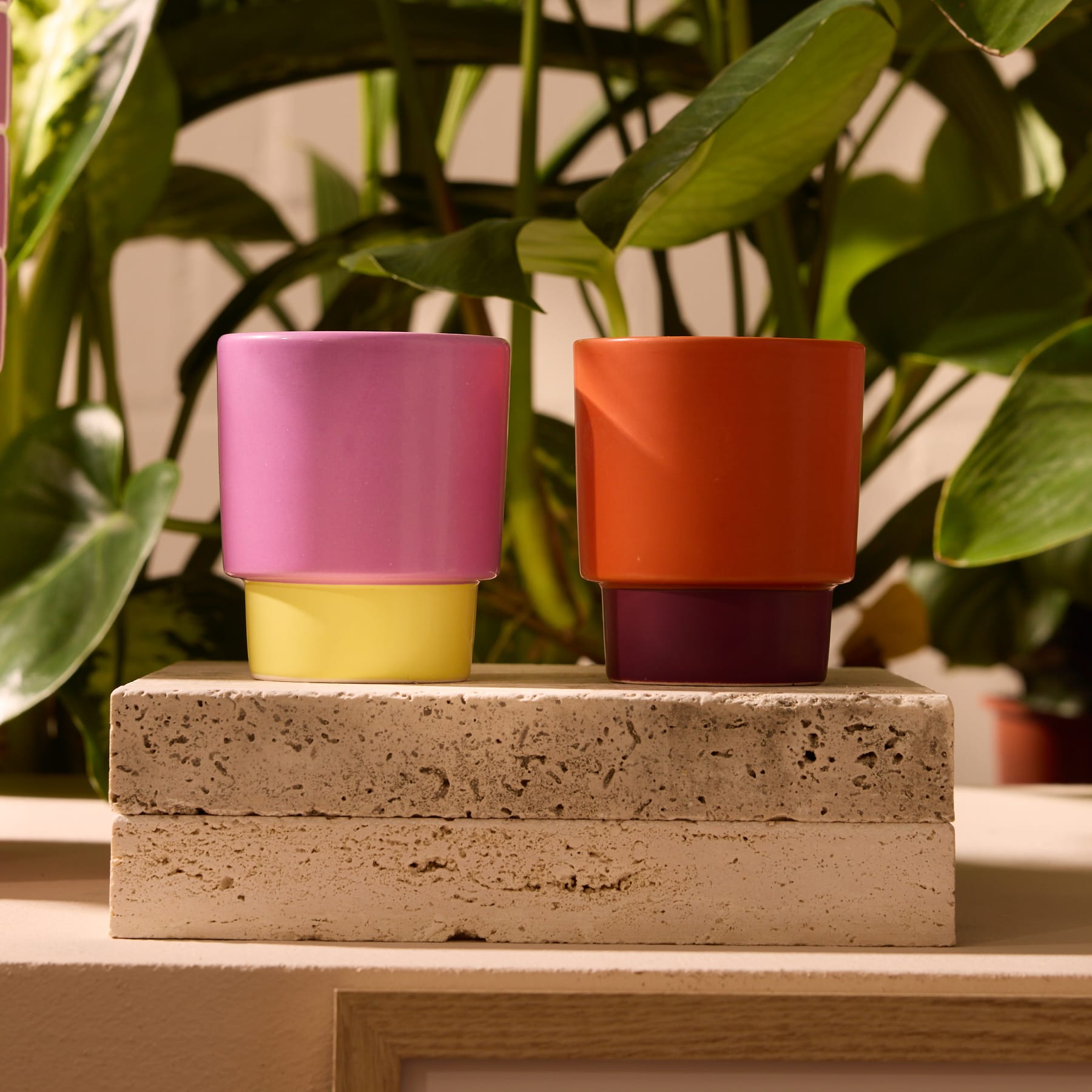 Das Bild zeigt zwei bunte Keramiktassen oder Pflanzgefäße auf einem Beton- oder Steinblock, im Hintergrund üppiges grünes Laub.