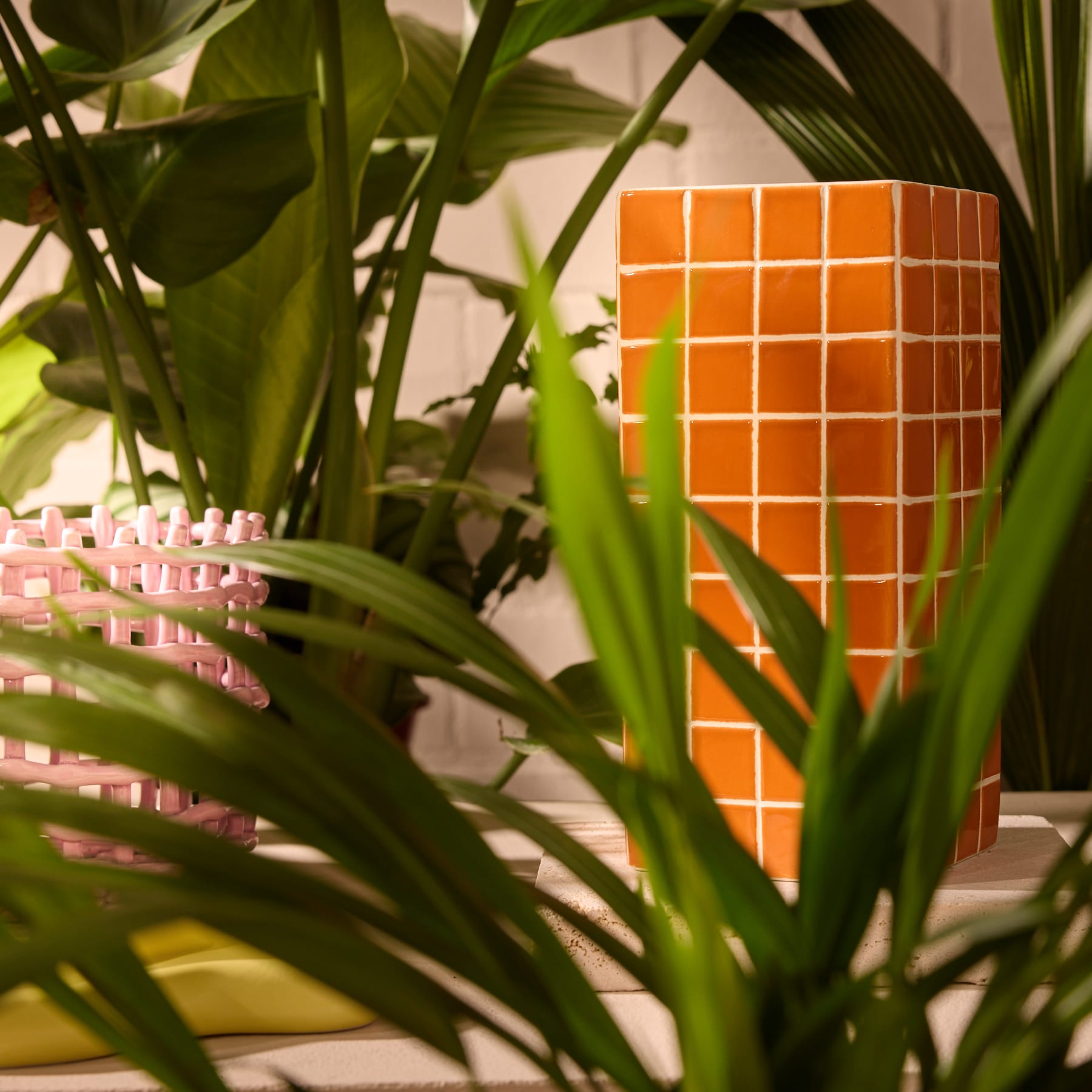 Das Bild zeigt ein leuchtend orangefarbenes, würfelförmiges Objekt, umgeben von üppigem grünem Laub, wodurch ein optisch auffälliger Kontrast zwischen der geometrischen Form und der organischen Pflanzenwelt entsteht.
