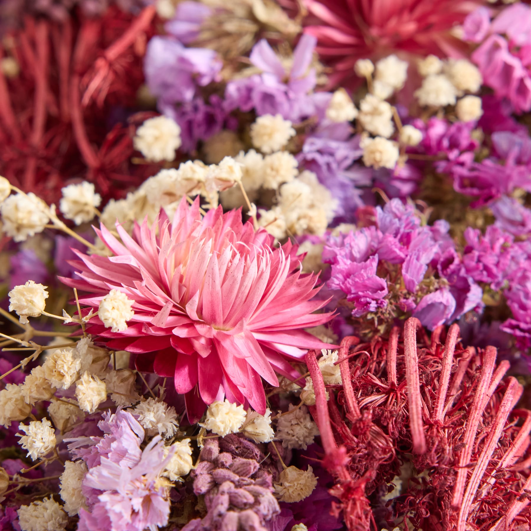 Ein lebendiger Strauß rosa und violetter Blumen, darunter große, dahlienähnliche Blüten, umgeben von kleineren weißen und violetten Blumen vor einem üppigen, grünen Hintergrund.