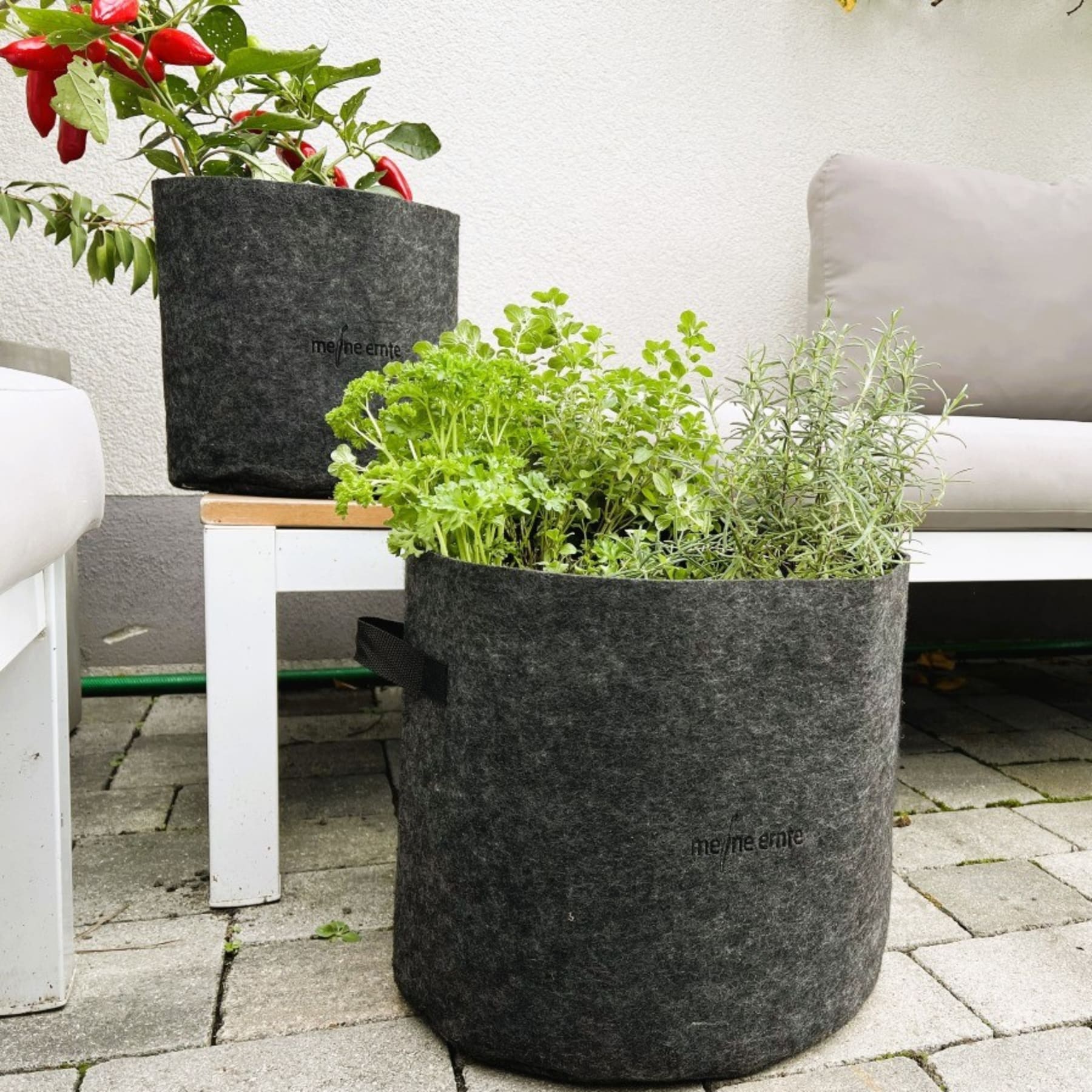 Das Bild zeigt mehrere Topfpflanzen, darunter Kräuter und eine blühende Pflanze, die auf einer Terrasse oder einem Sitzbereich im Freien mit einem weißen Sofa im Hintergrund platziert sind.