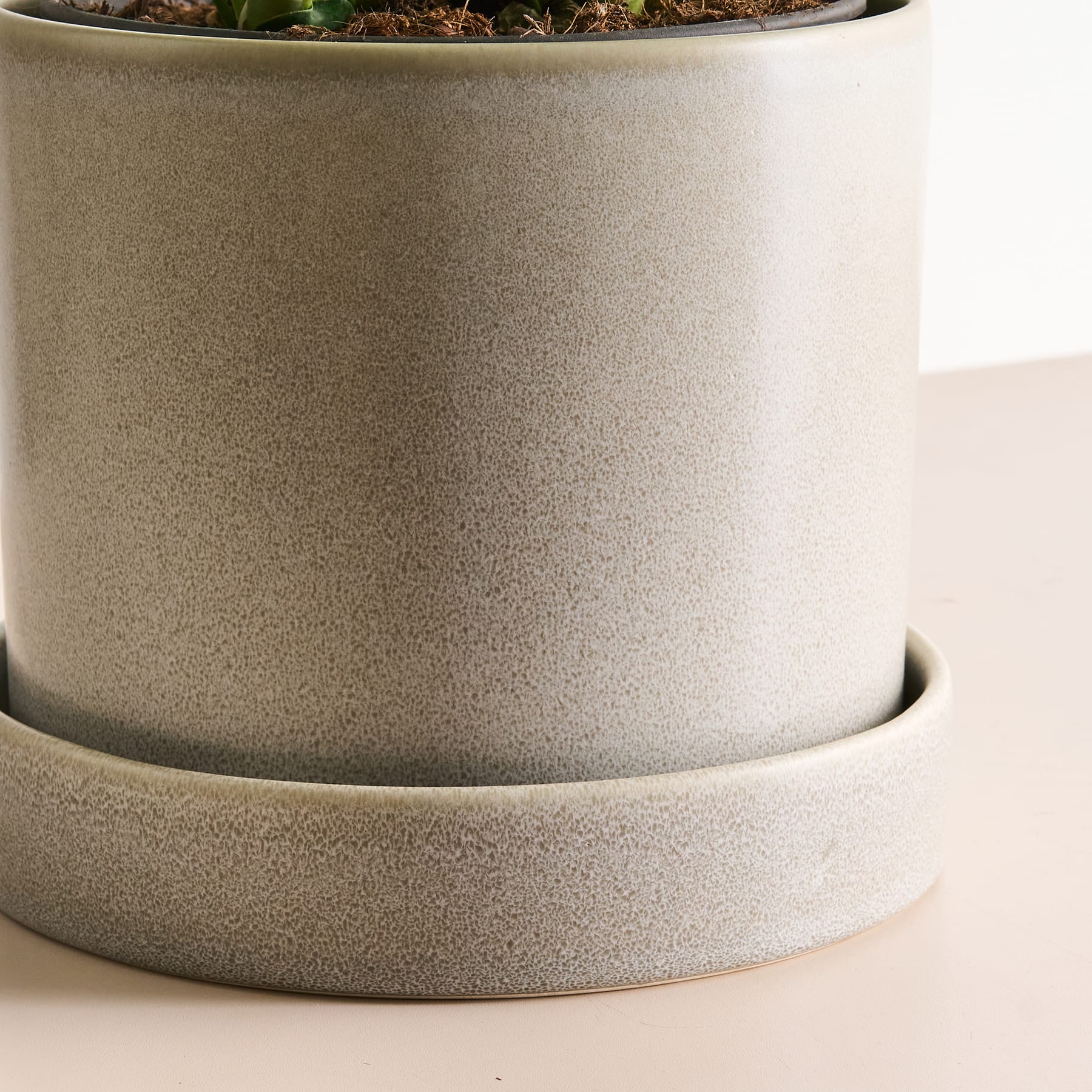 Eine Nahaufnahme eines weißen Keramik-Blumentopfs mit strukturierter Oberfläche vor einem unscharfen grünen Hintergrund.