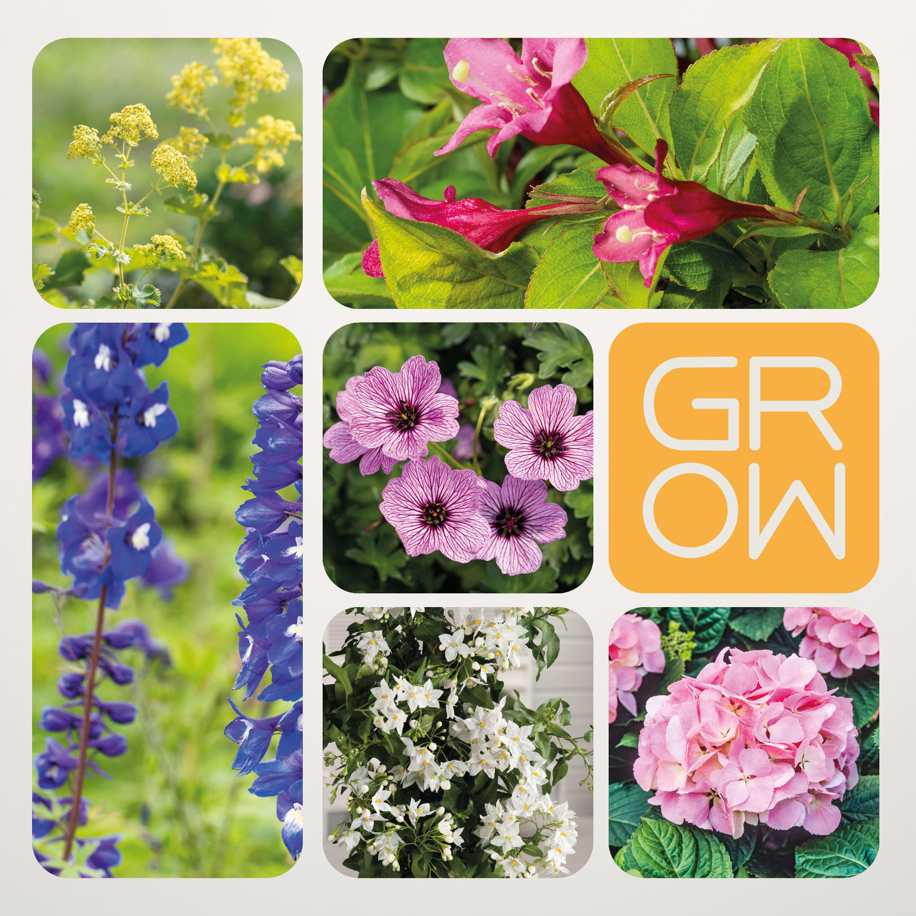 Das Bild ist eine Collage aus verschiedenen leuchtenden und farbenfrohen Blumen, darunter gelbe Blüten, rosa und violette Blumen und üppiges grünes Laub, vor einem unscharfen natürlichen Hintergrund.