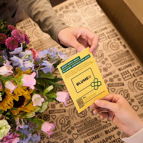 Das Bild zeigt die Hände einer Person, die eine gelbe Blume-Produktverpackung vor einem farbenfrohen Blumenarrangement auf einem gemusterten Hintergrund hält.