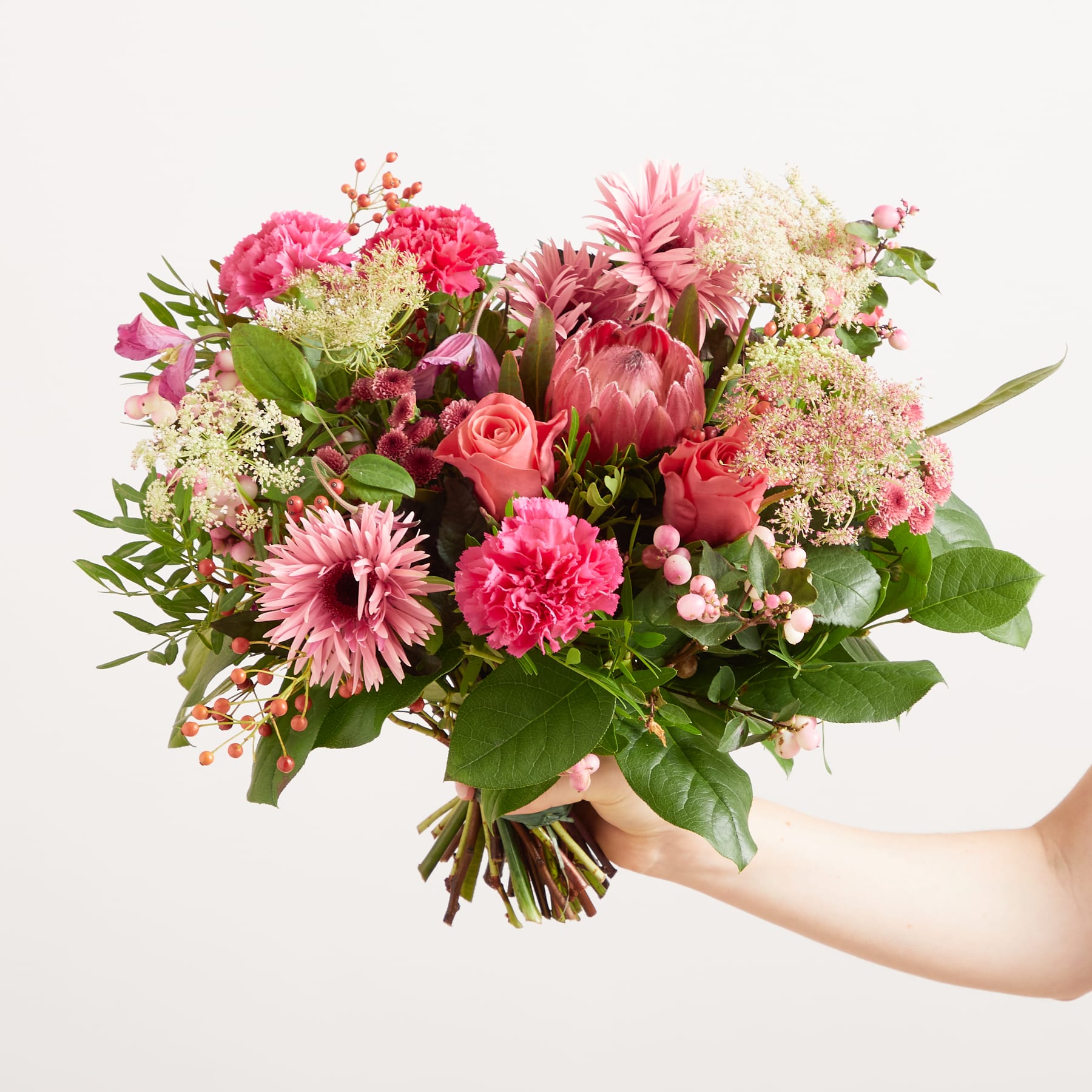 Ein leuchtender Strauß rosa und weißer Blumen, darunter Nelken, Gerbera und Proteas, wird vor einem schlichten weißen Hintergrund in den Händen einer Person gehalten.