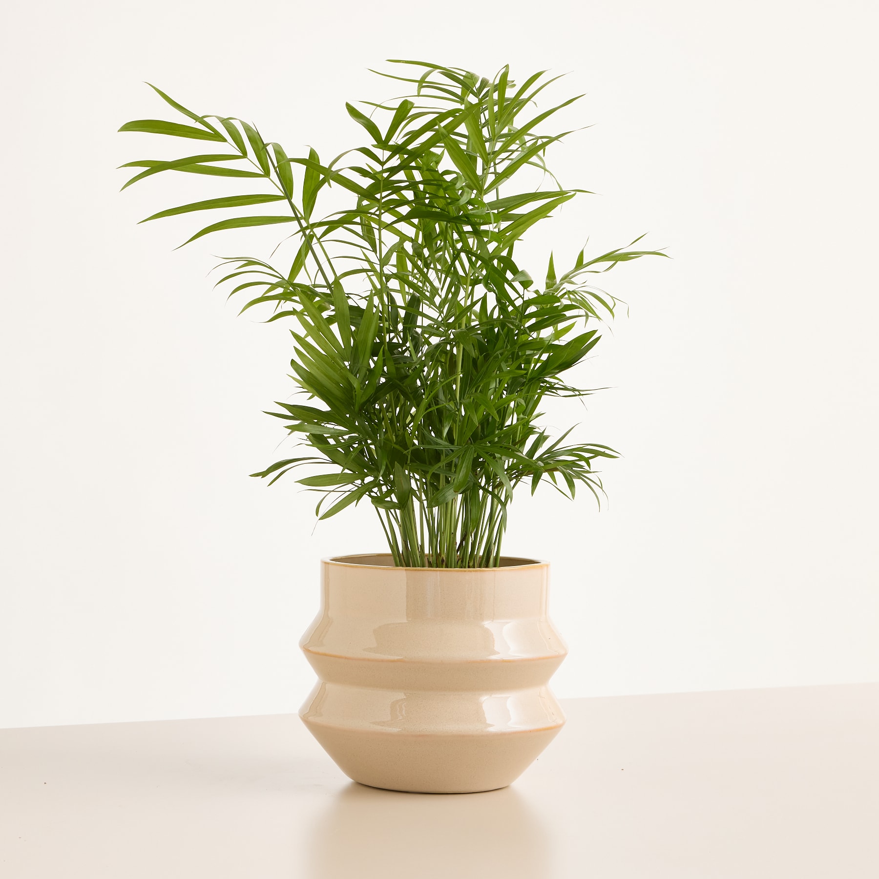 Eine beige Keramikschale mit glatter, gewölbter Oberfläche steht auf einem schlichten, hellen Hintergrund.