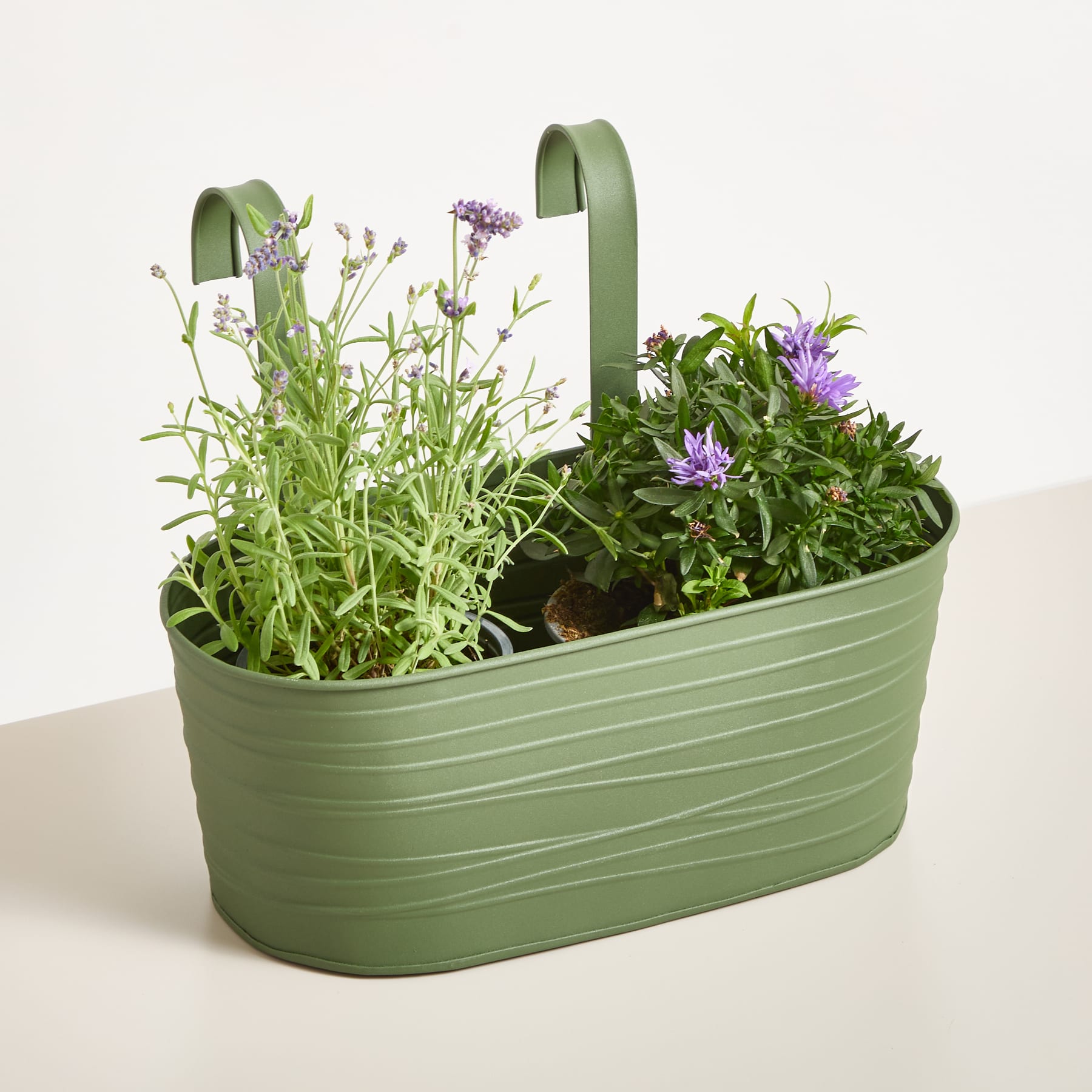 Ein grüner, ovaler Blumentopf, gefüllt mit verschiedenen üppigen grünen Pflanzen und violetten Blumen, vor einem schlichten weißen Hintergrund.