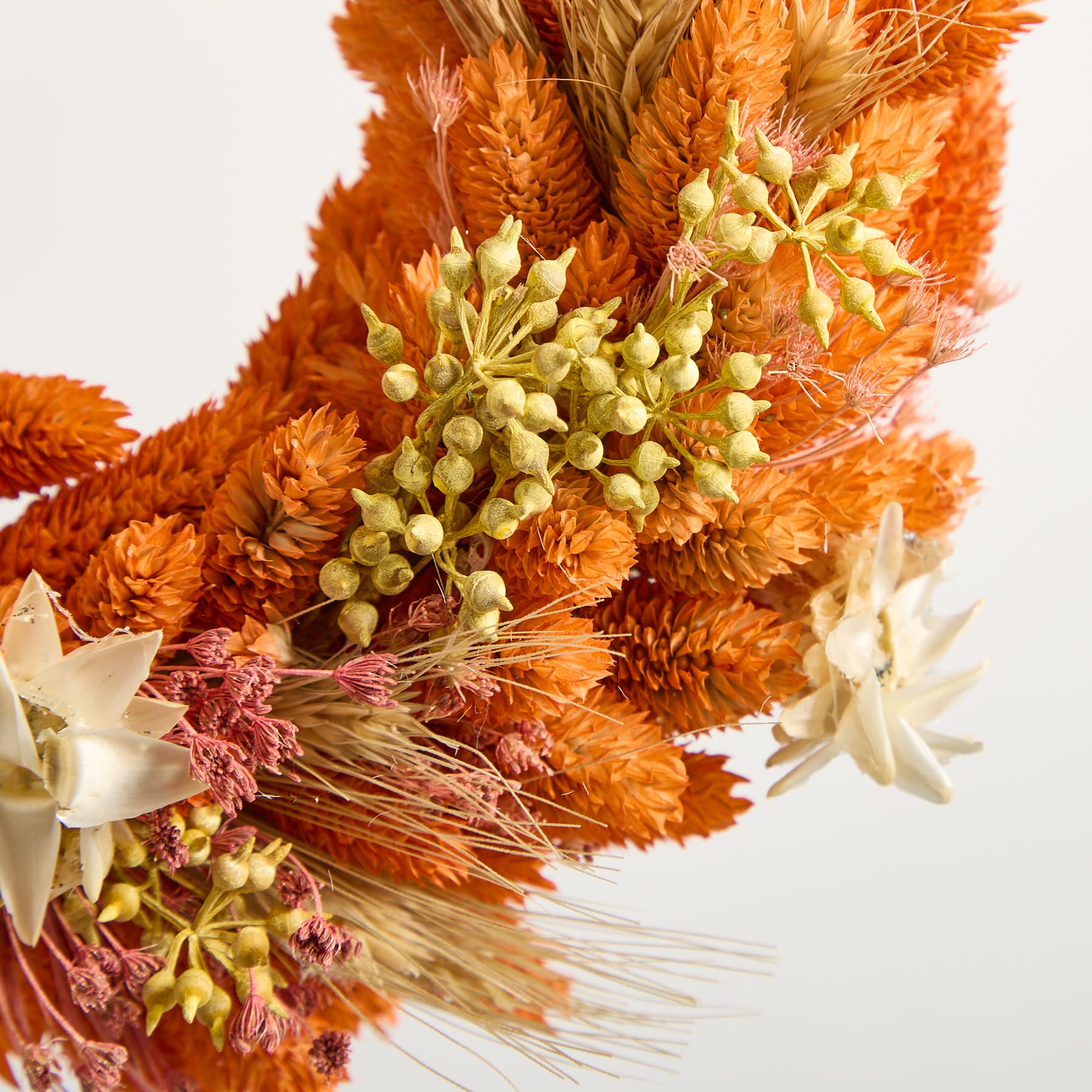 Ein lebendiger Strauß getrockneter Blumen und Gräser in Orange-, Gelb- und Weißtönen vor einem schlichten Hintergrund.