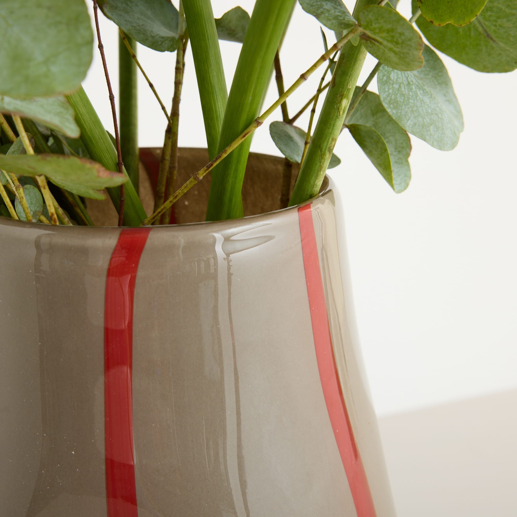 Eine Keramikvase mit rotem Streifen enthält verschiedene grüne Pflanzen, darunter Blätter und Stängel, vor einem schlichten weißen Hintergrund.