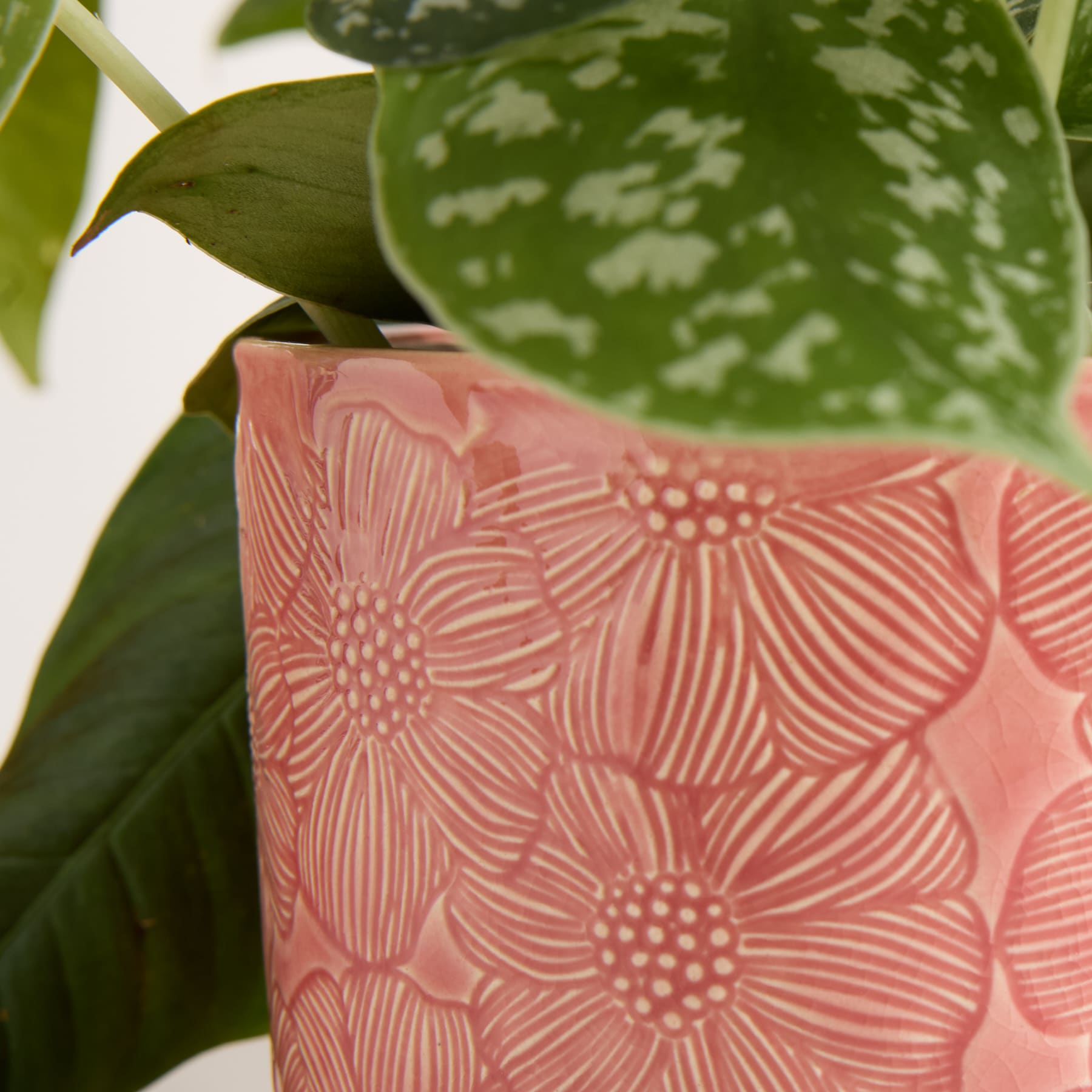 Das Bild zeigt eine Nahaufnahme eines rosa Blumenmusters auf einem Stoff oder einer Oberfläche mit üppigen grünen Blättern im Hintergrund.