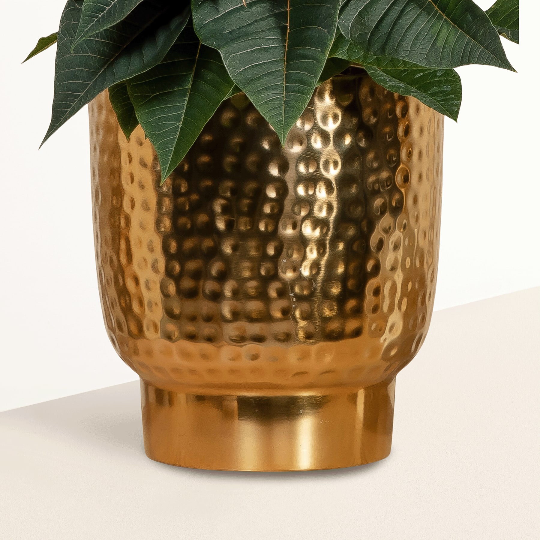 Ein goldener Blumentopf aus gehämmertem Metall mit großen grünen Blättern, die oben herauswachsen und auf einer Holzoberfläche ruhen.