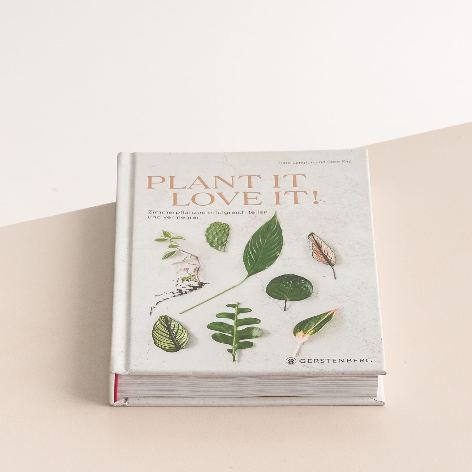 Buch "Plant it Love it"