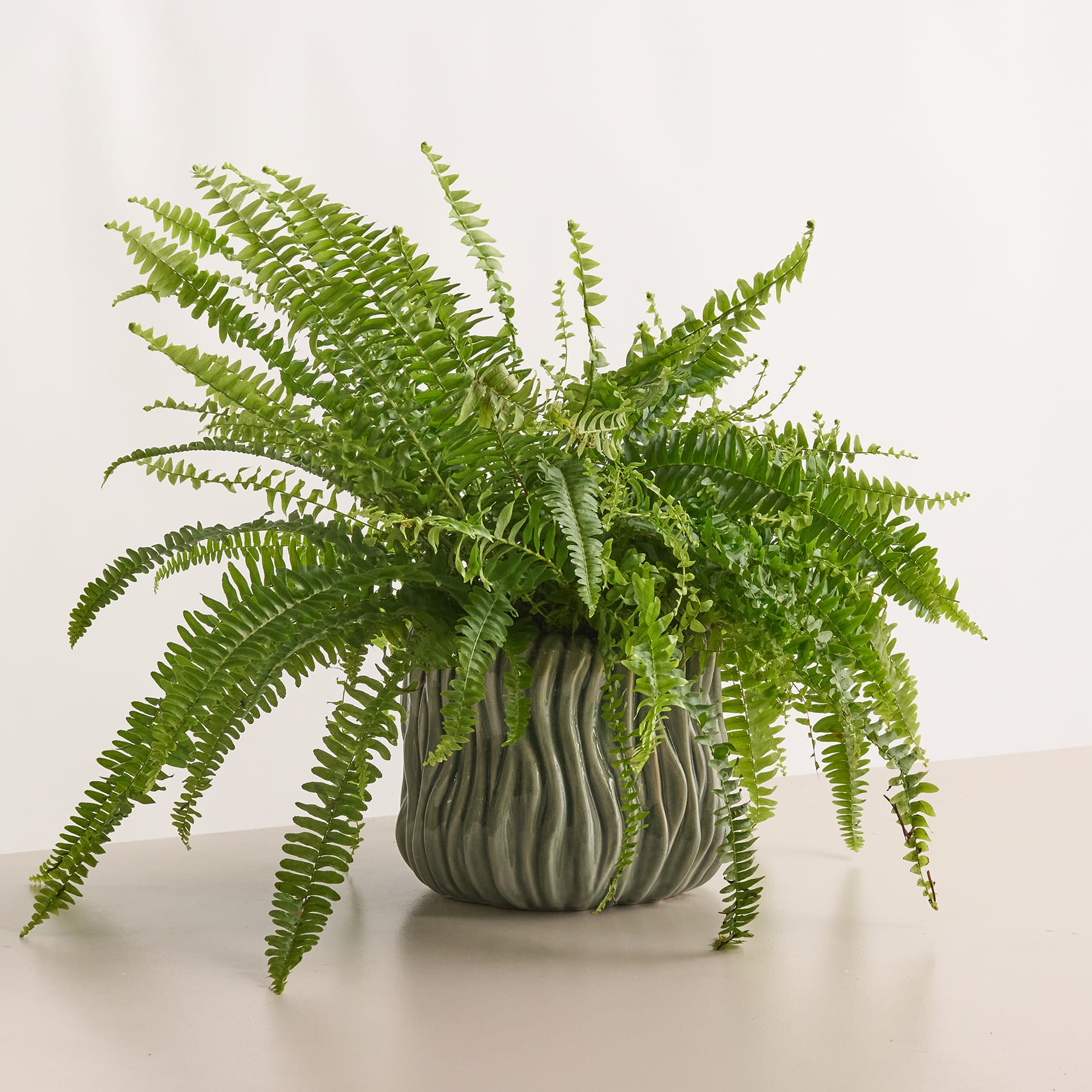 Keramik Übertopf Grün - 11 cm
