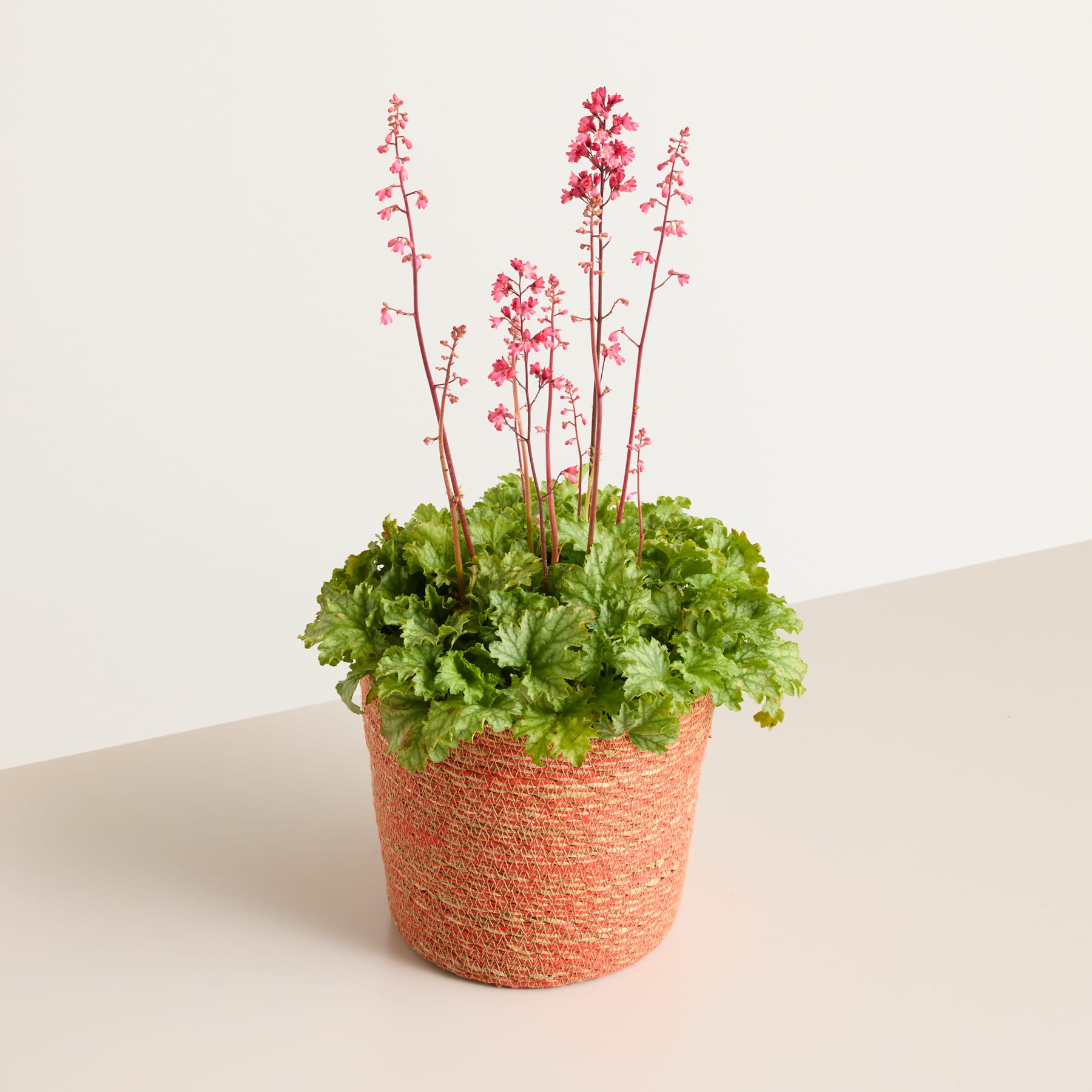 Seegras Korb Rot - 19 cm