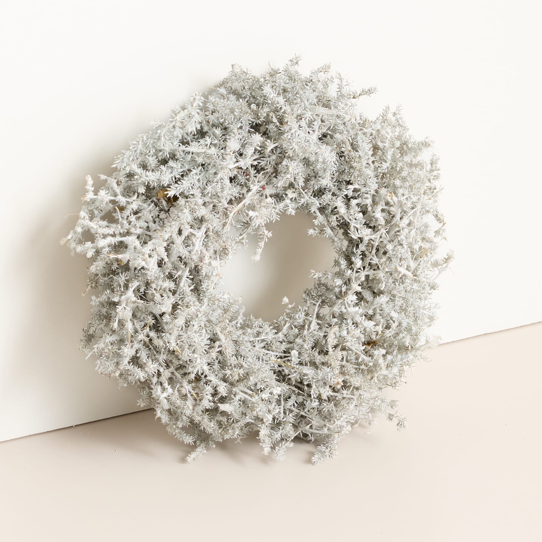 Trockenblumenkranz Asparagus Silberfarben
