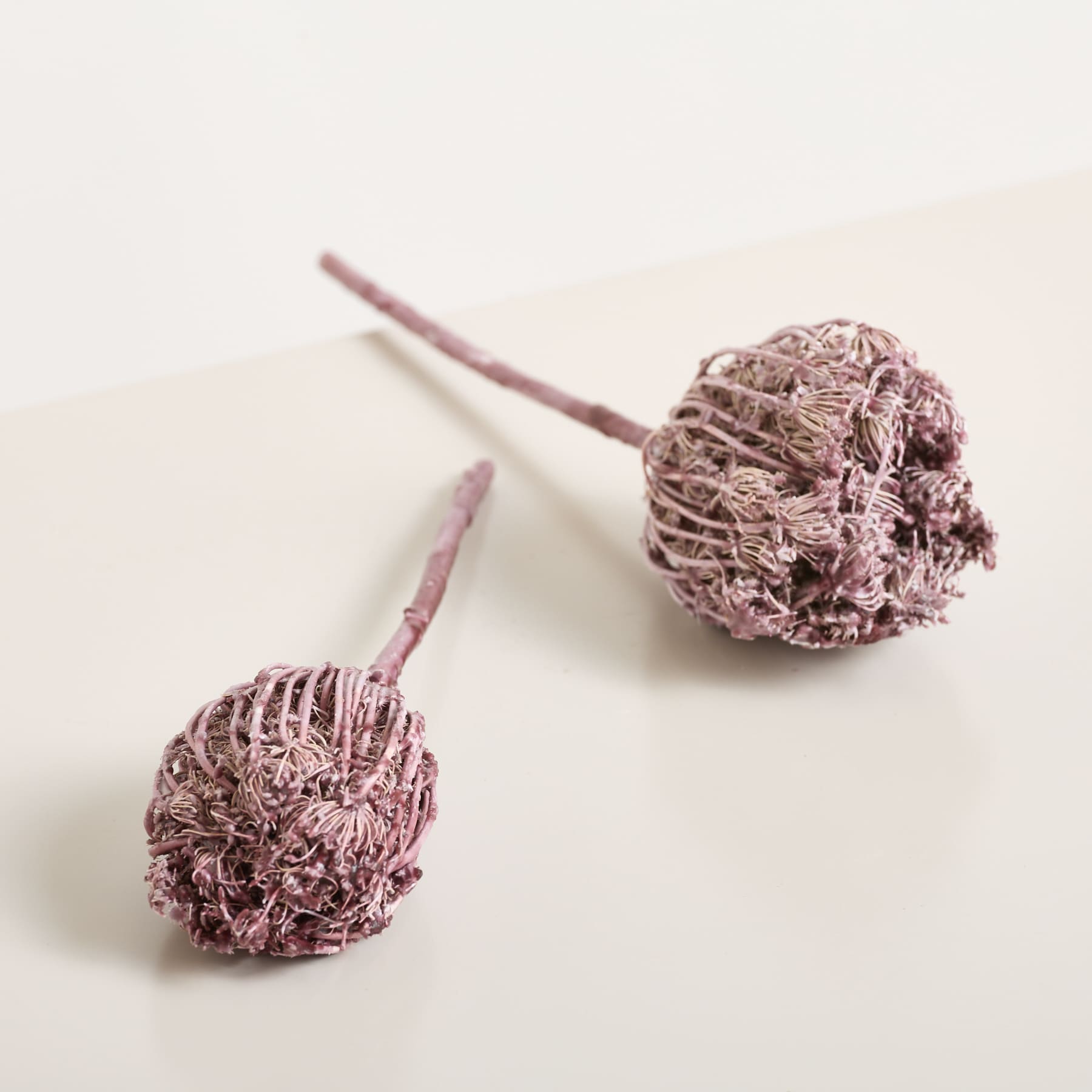 Deko Wilde Möhre Rot 2er-Set