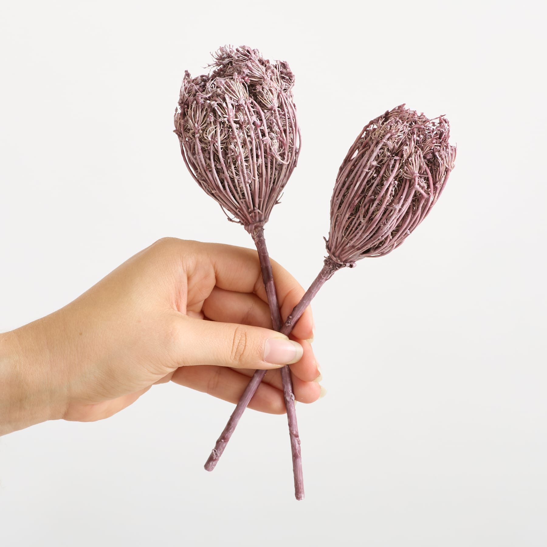 Deko Wilde Möhre Rot 2er-Set