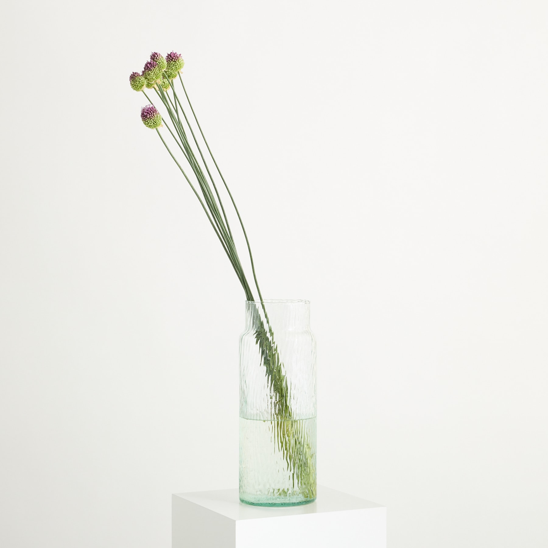 Eine Glasvase mit mehreren grünen Stängeln mit violetten Blütenknospen steht auf einem schlichten weißen Hintergrund.