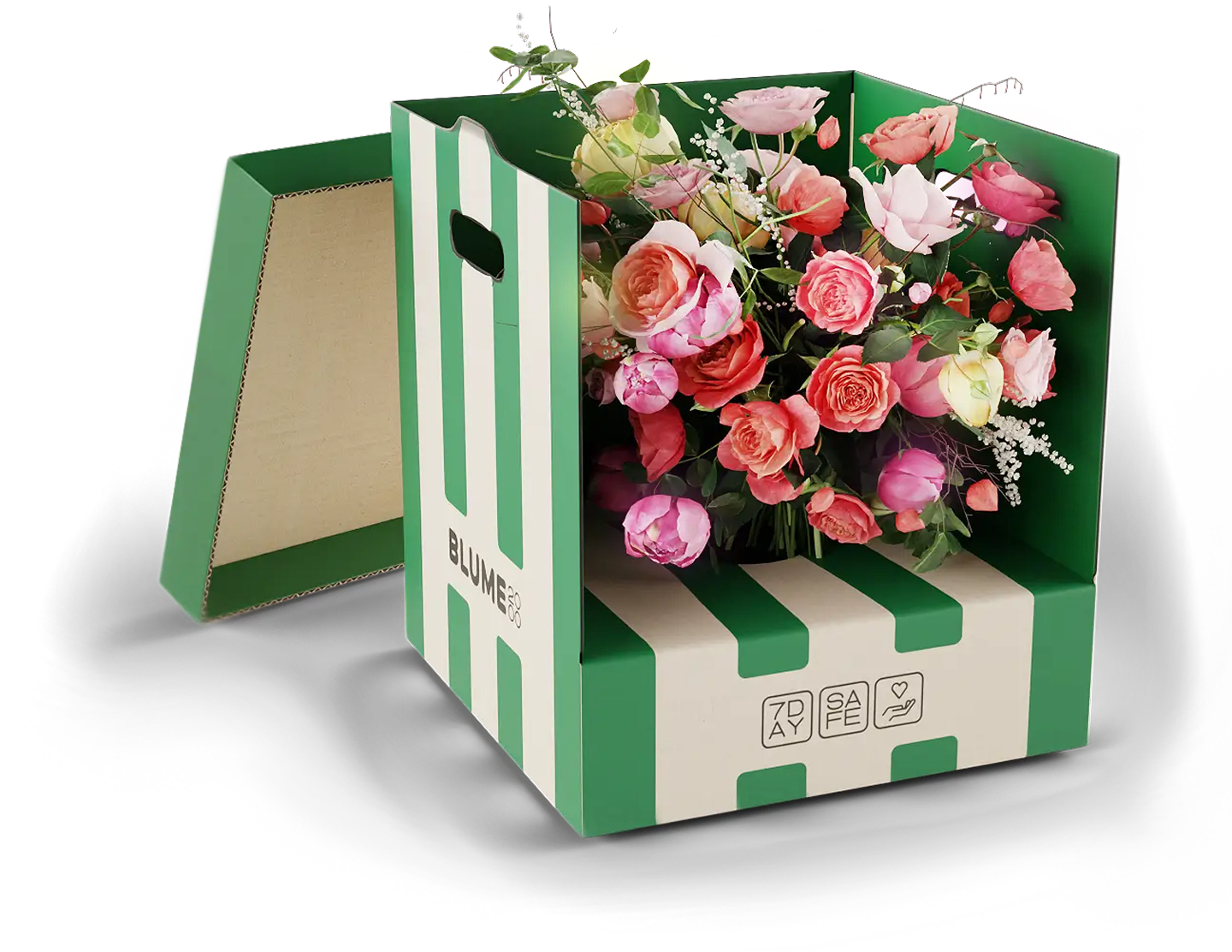 Ein leuchtender Strauß rosa und roter Rosen in einer grün-weiß gestreiften Pappschachtel ergibt ein optisch ansprechendes und auffälliges Arrangement.