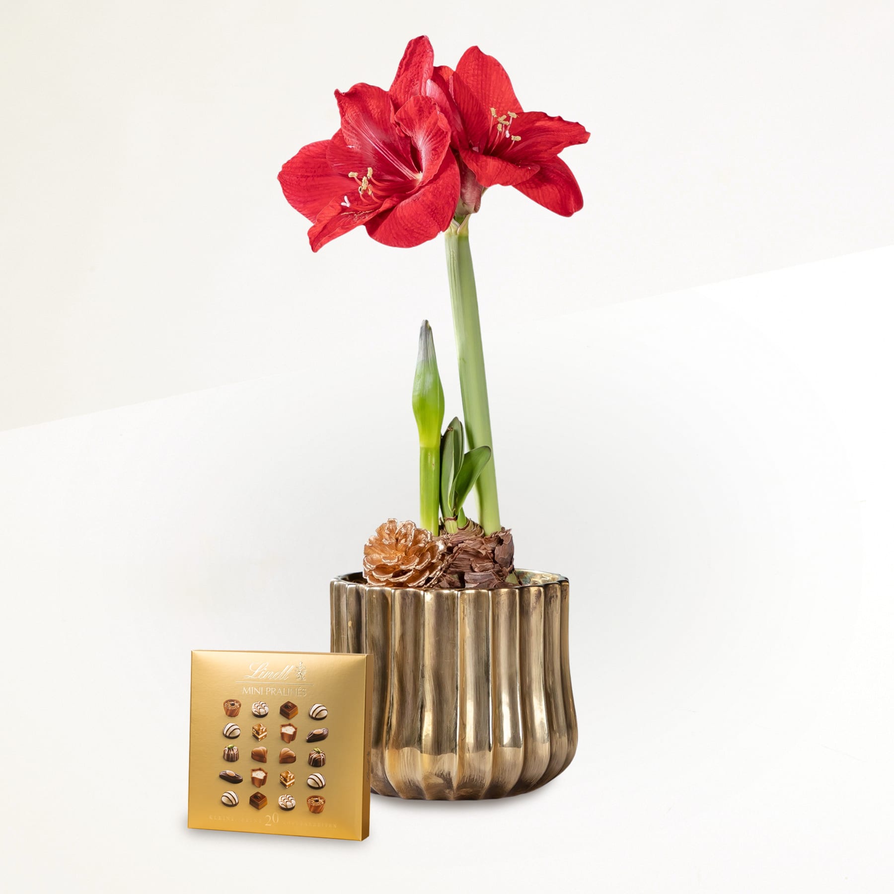 Goldschimmer mit Lindt Mini Pralinés Gold