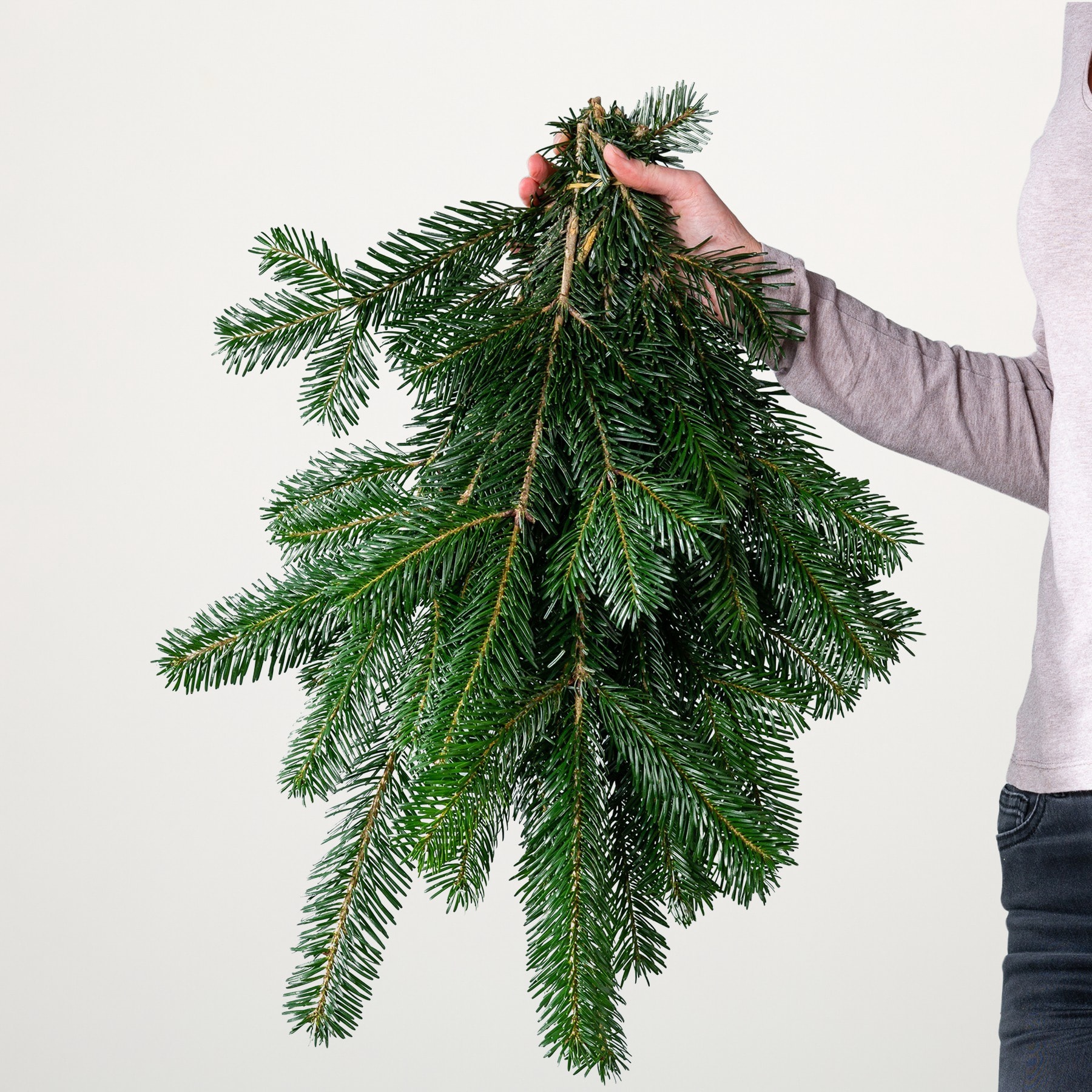 Nordmanntanne Handbund 500g