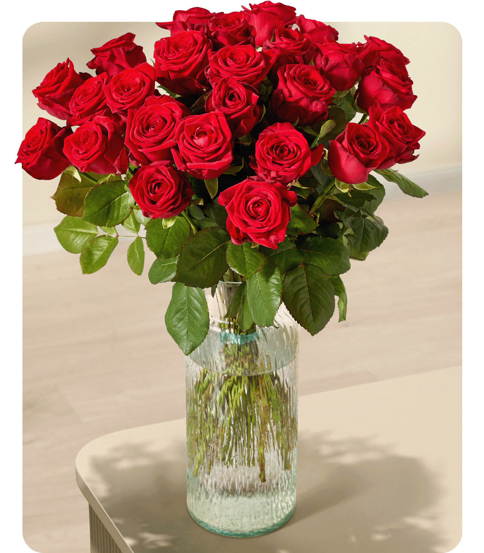 Ein großer Strauß leuchtend roter Rosen, den eine Person vor einem schlichten weißen Hintergrund in den Händen hält.