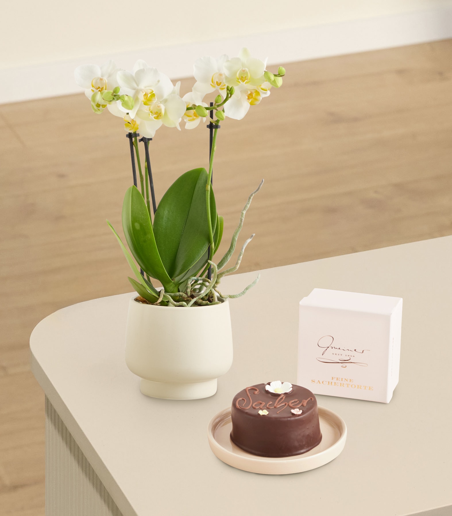 Eine Orchideenpflanze im Topf mit zarten weißen Blüten steht neben einem kleinen Schokoladendessert auf einem Teller vor einem schlichten Hintergrund.