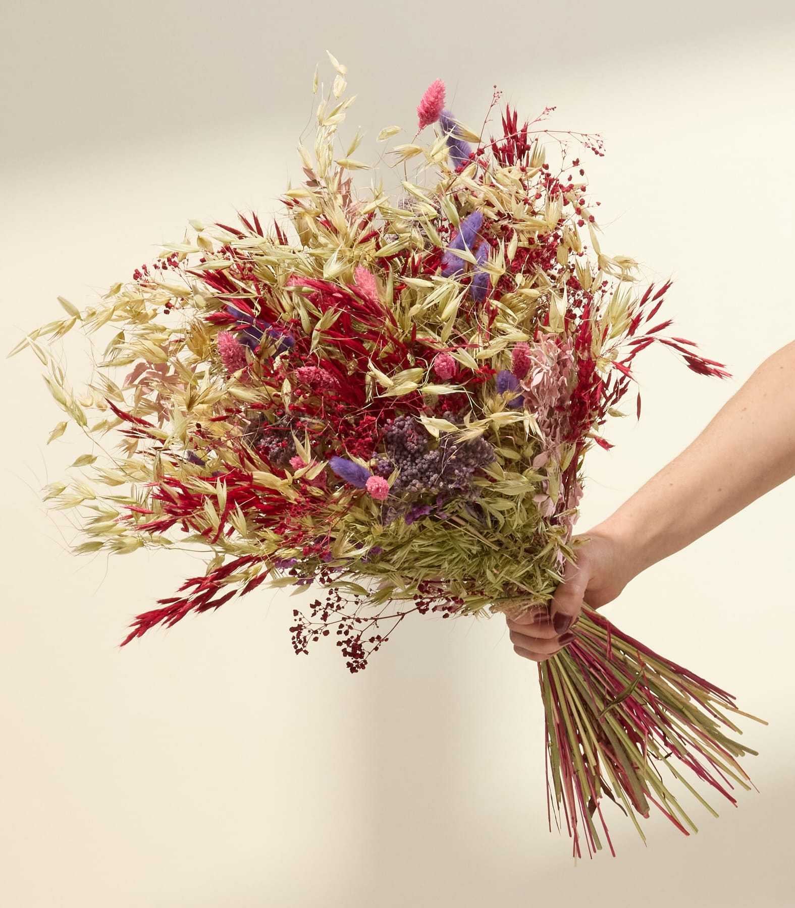 Ein farbenfroher Strauß getrockneter Blumen in Rot-, Lila- und Grüntönen wird von einer Person vor einem schlichten, hellen Hintergrund in den Händen gehalten.