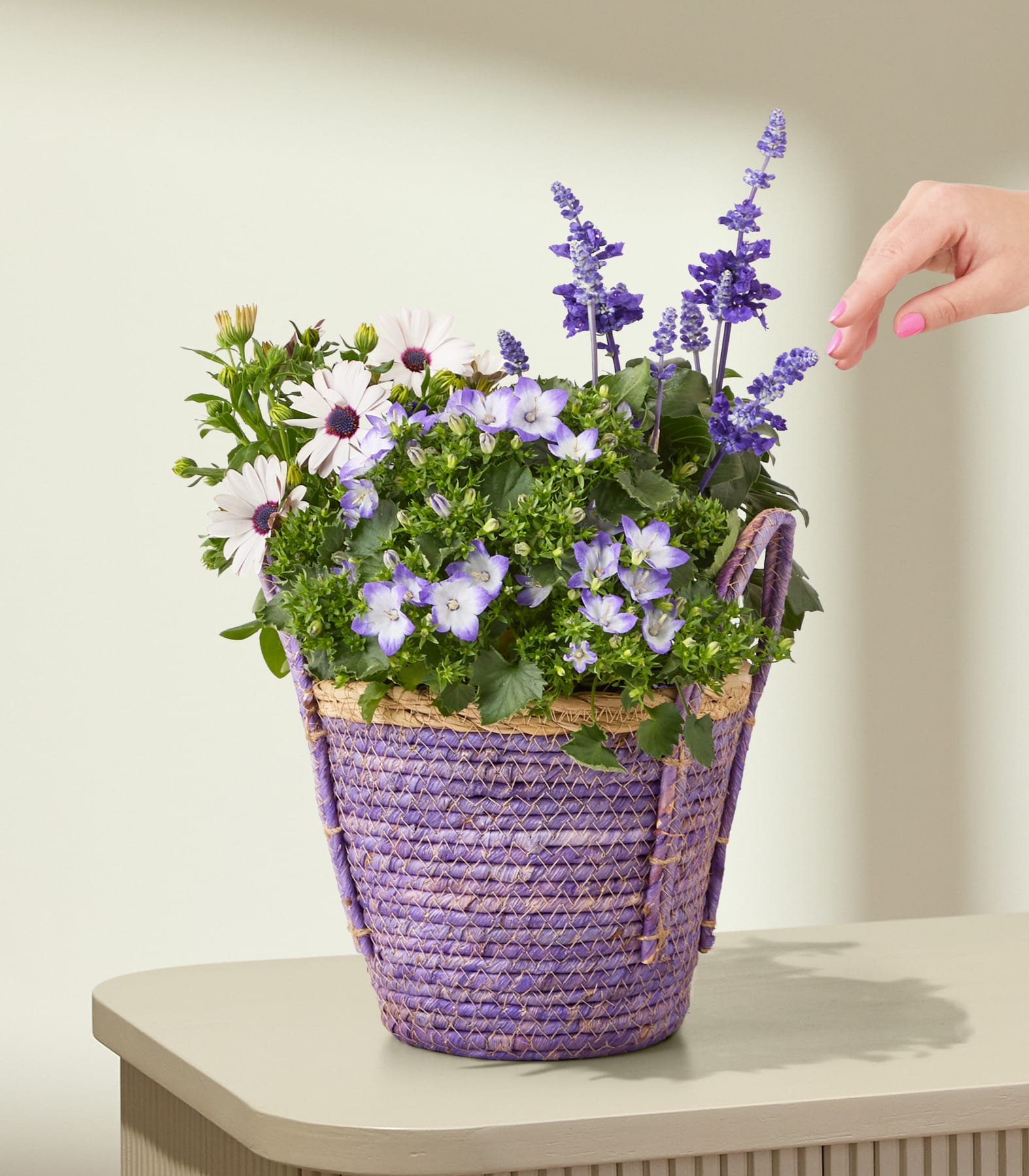 Ein Strauß violetter und weißer Blumen, darunter Lavendel und Gänseblümchen, arrangiert in einem geflochtenen Korb, den eine Hand vor einem schlichten weißen Hintergrund hält.