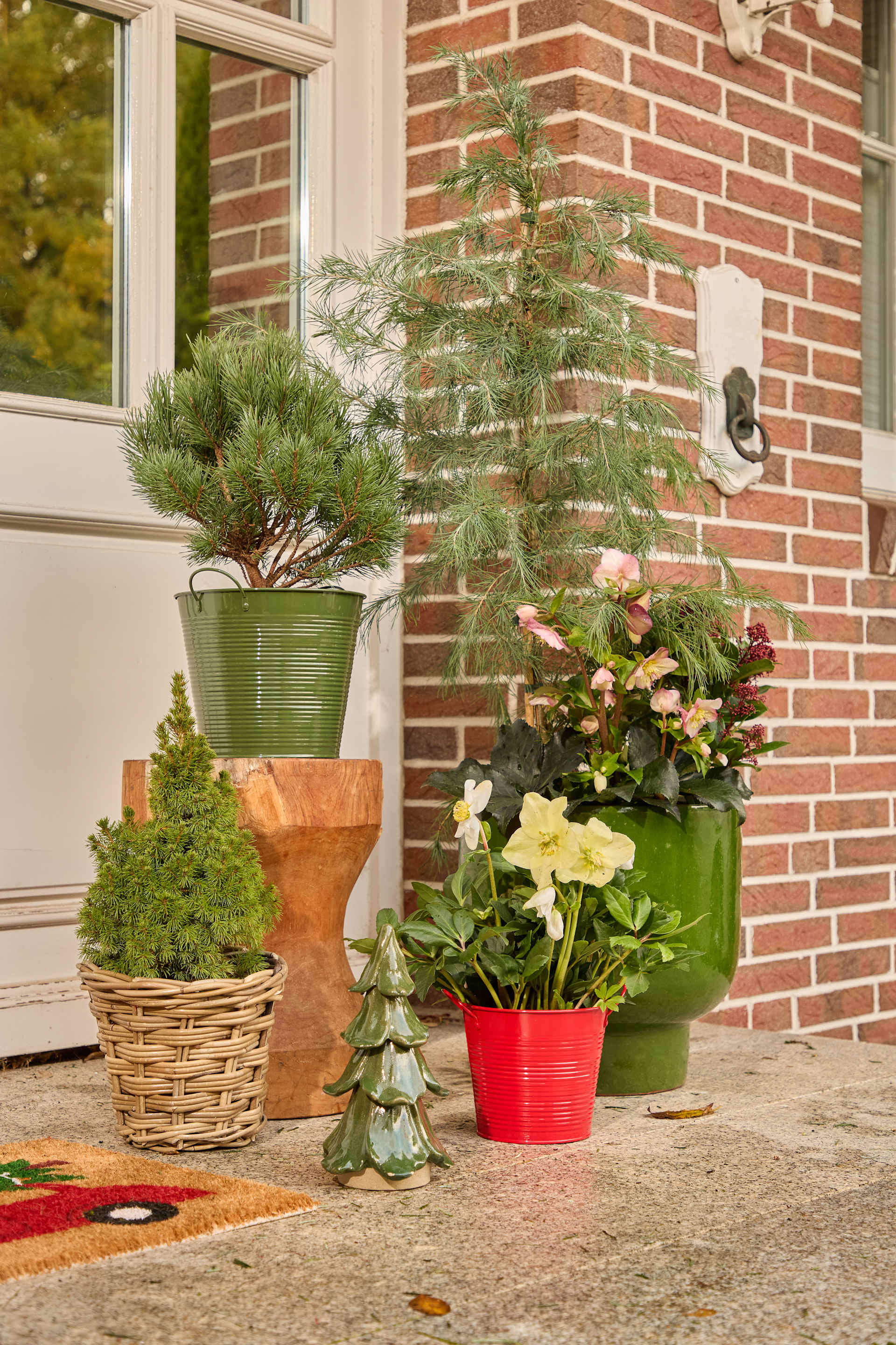 Auf der Veranda eines Backsteingebäudes mit Fenster sind verschiedene Topfpflanzen ausgestellt, darunter eine kleine Kiefer, Blumen und Grünpflanzen.