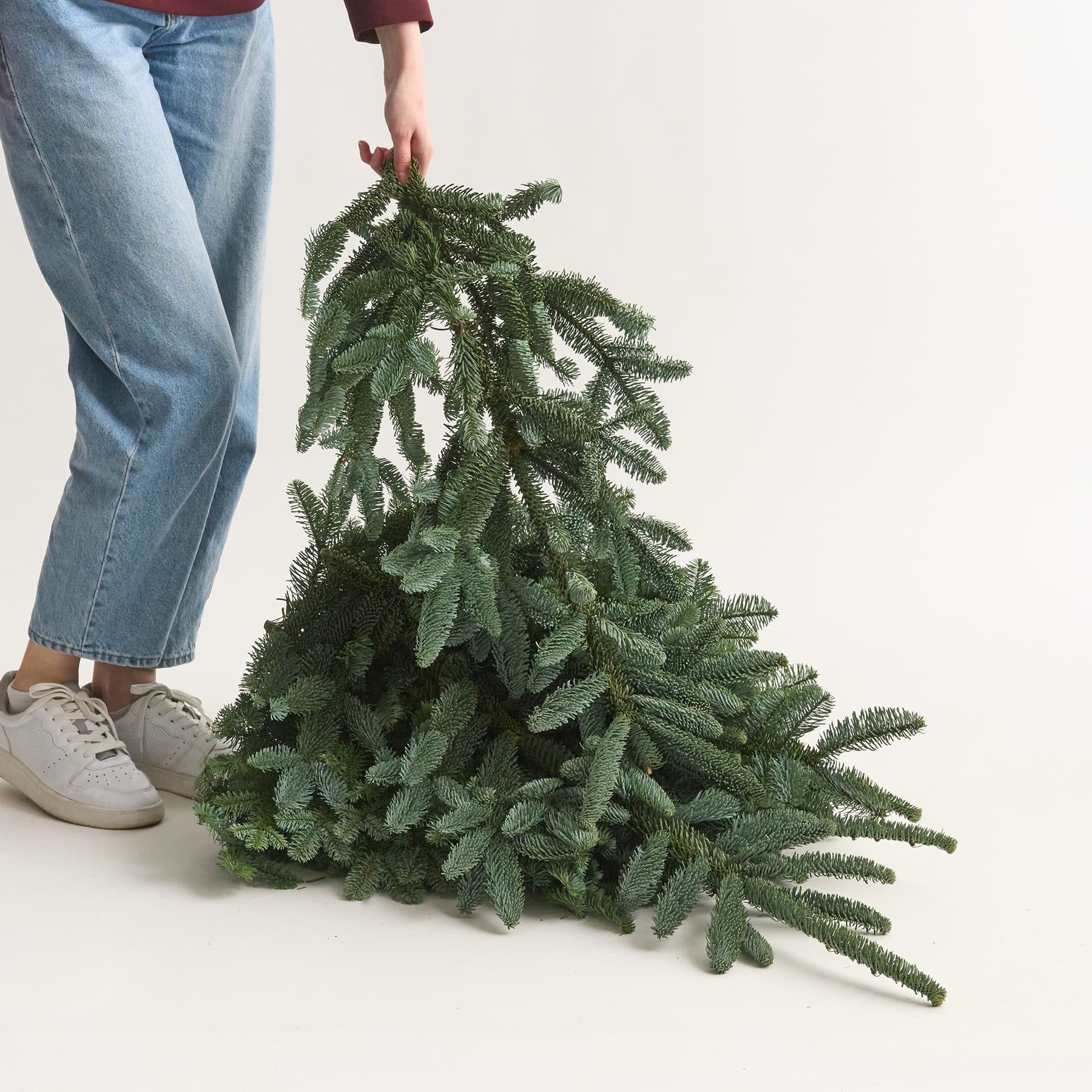 Nobilistanne Dekozweige 5 kg