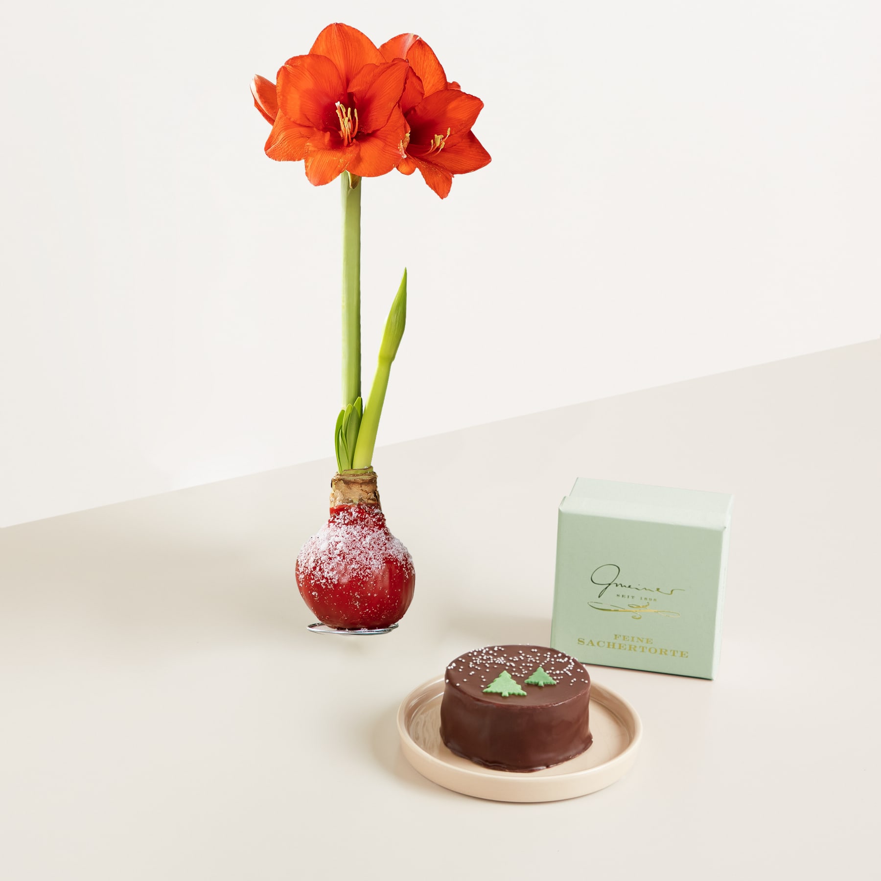 Winterbote mit winterlicher Sachertorte 200g