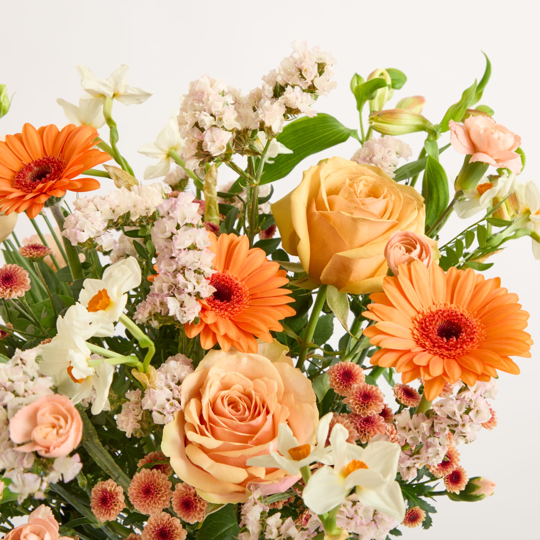 Frühlingsgeflüster