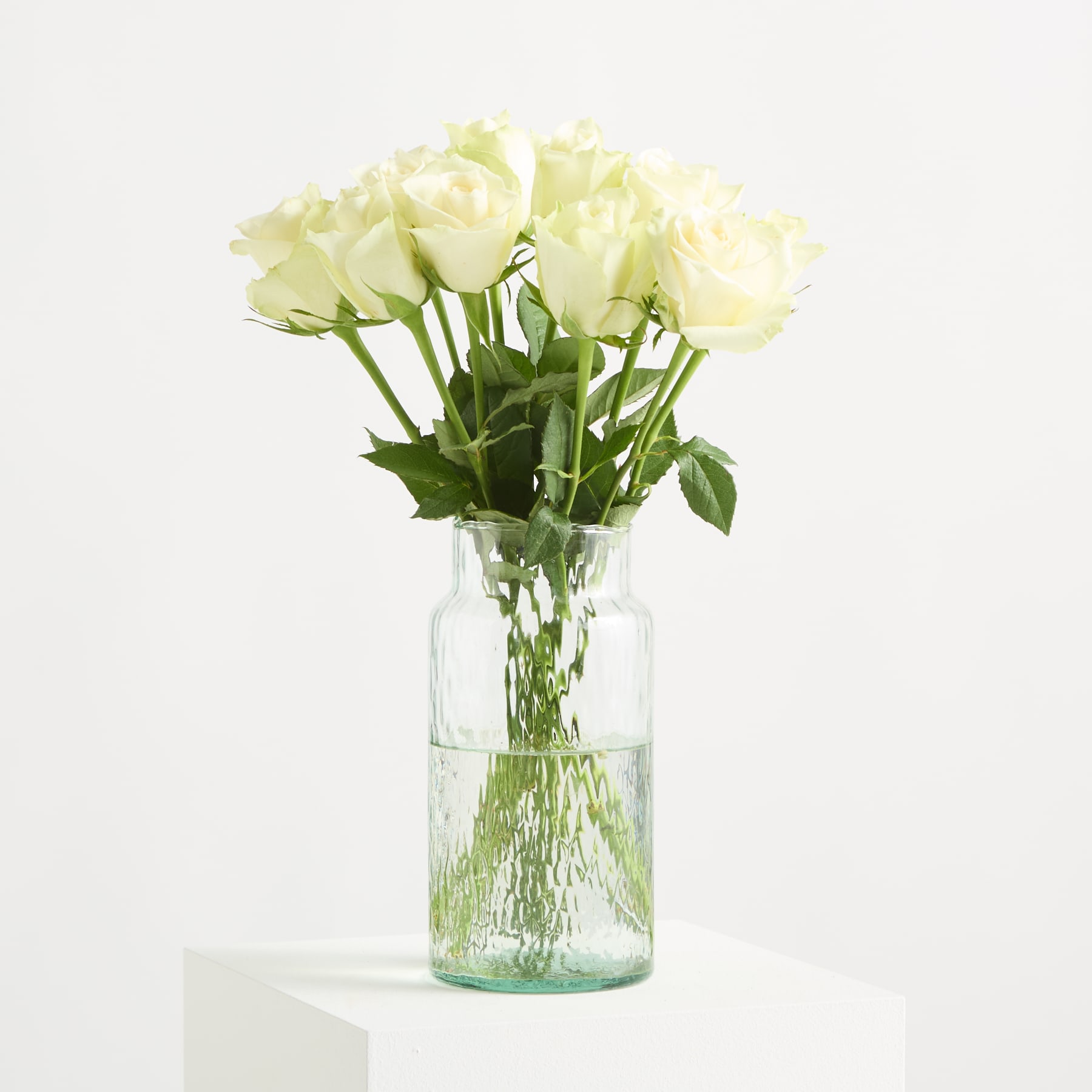 Zarte, hellgelbe Rosen mit weichen, samtigen Blütenblättern heben sich von einem schlichten, hellen Hintergrund ab.