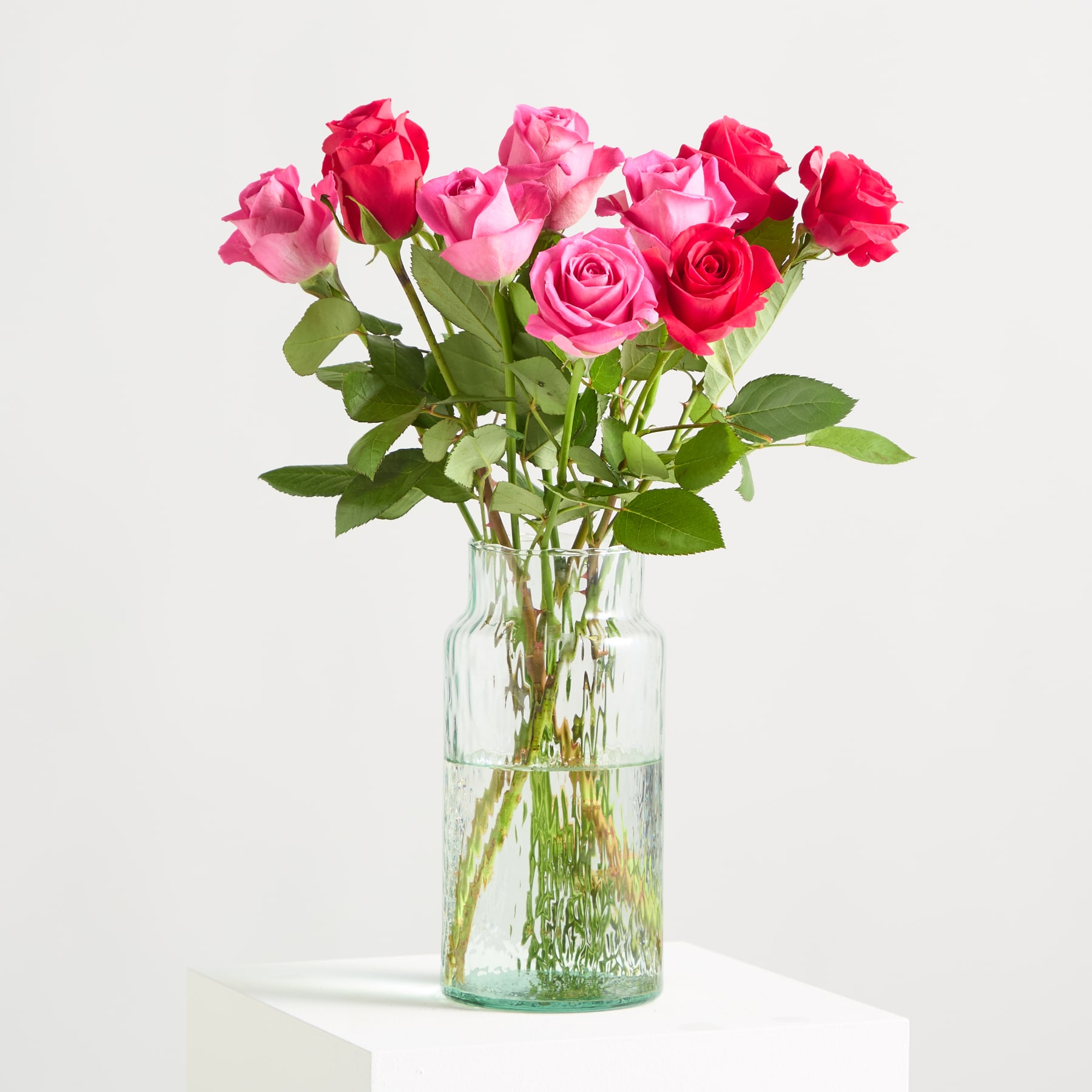 Leuchtend rosa und rote Rosen mit üppigem grünem Laub vor unscharfem Hintergrund.