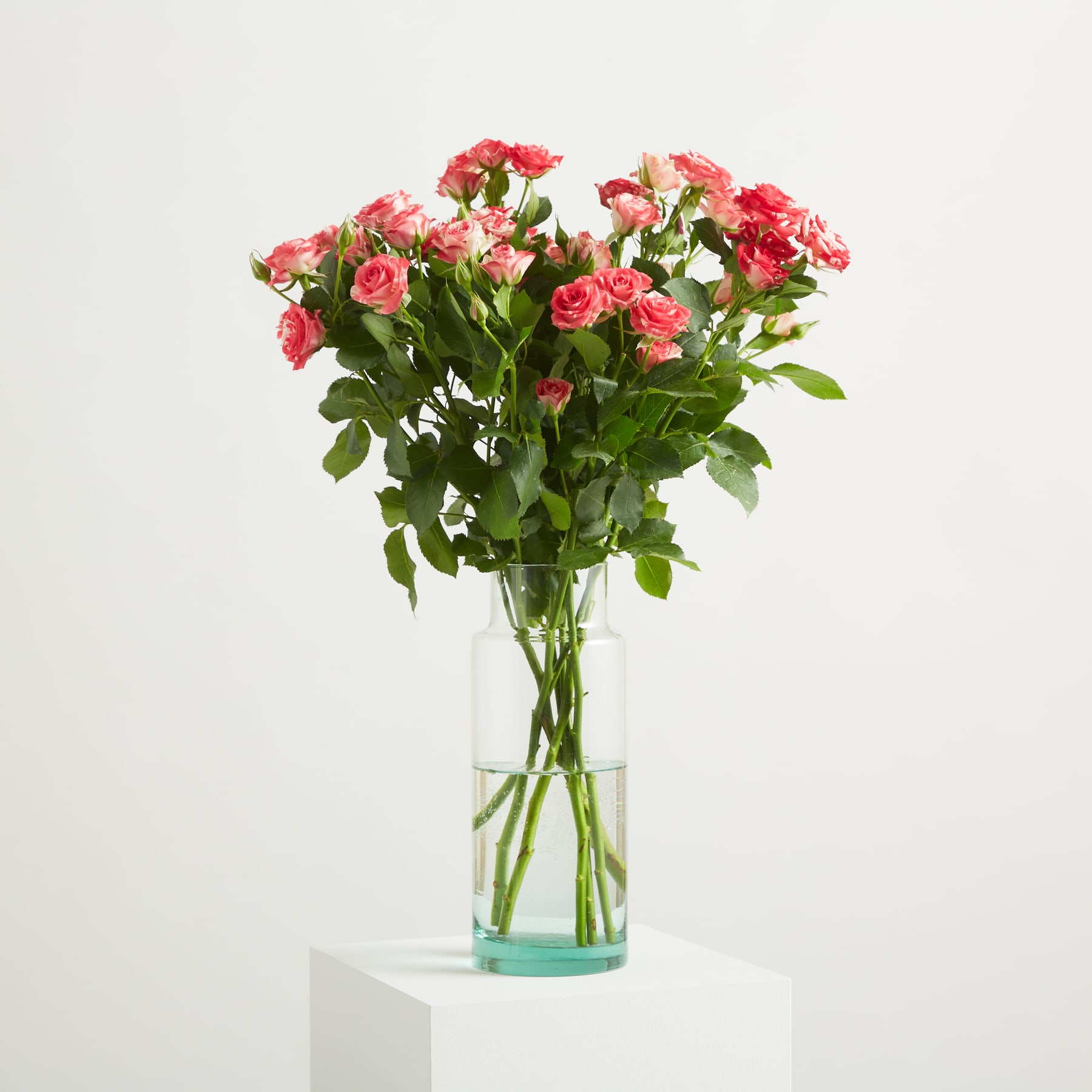 Ein lebendiger Strauß üppiger rosa und roter Rosen mit zarten Blütenblättern vor dem Hintergrund grüner Blätter.