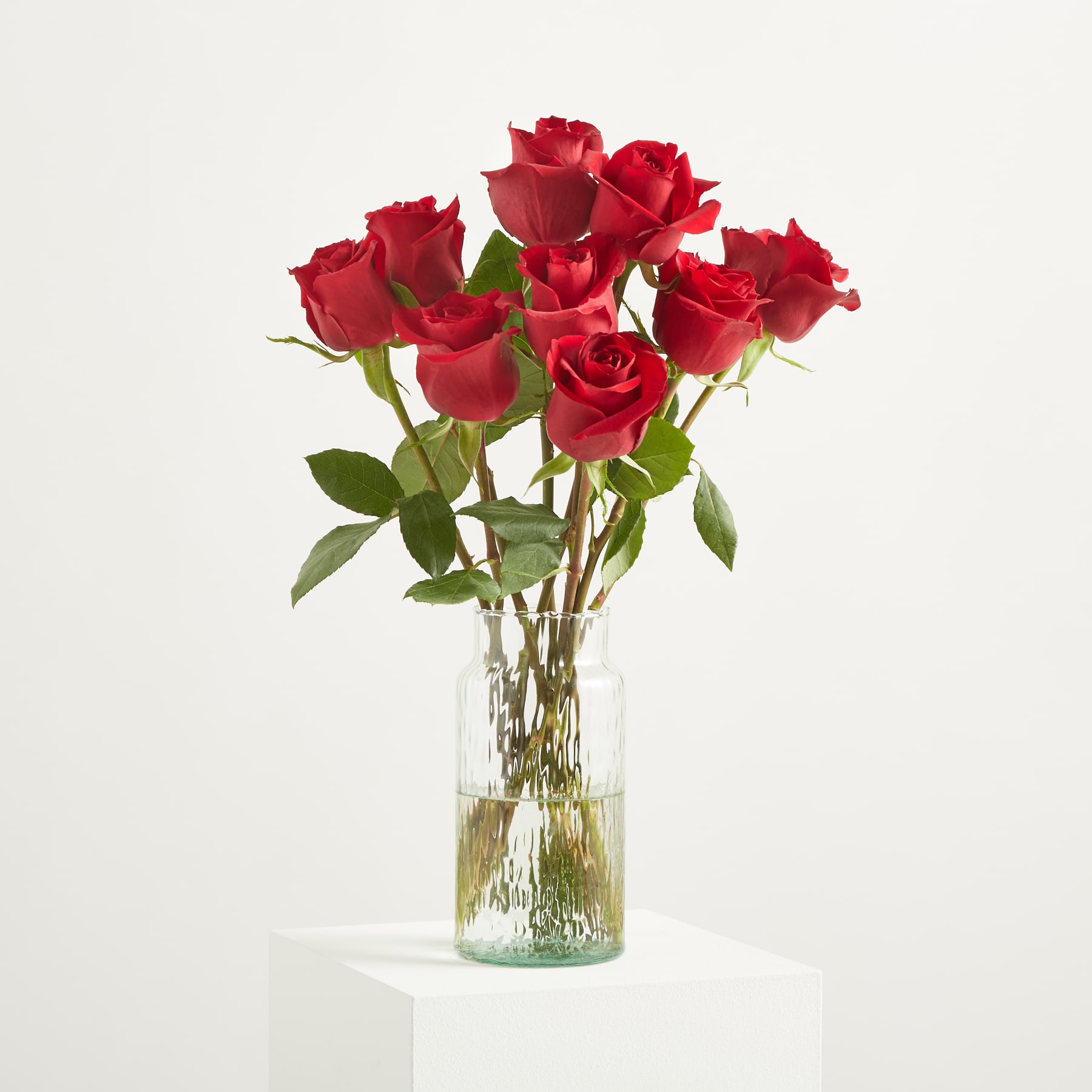 Eine leuchtend rote Rose wird vor einem schlichten weißen Hintergrund in der Hand gehalten, ihre Blütenblätter und ihr Stiel sind scharf abgebildet.