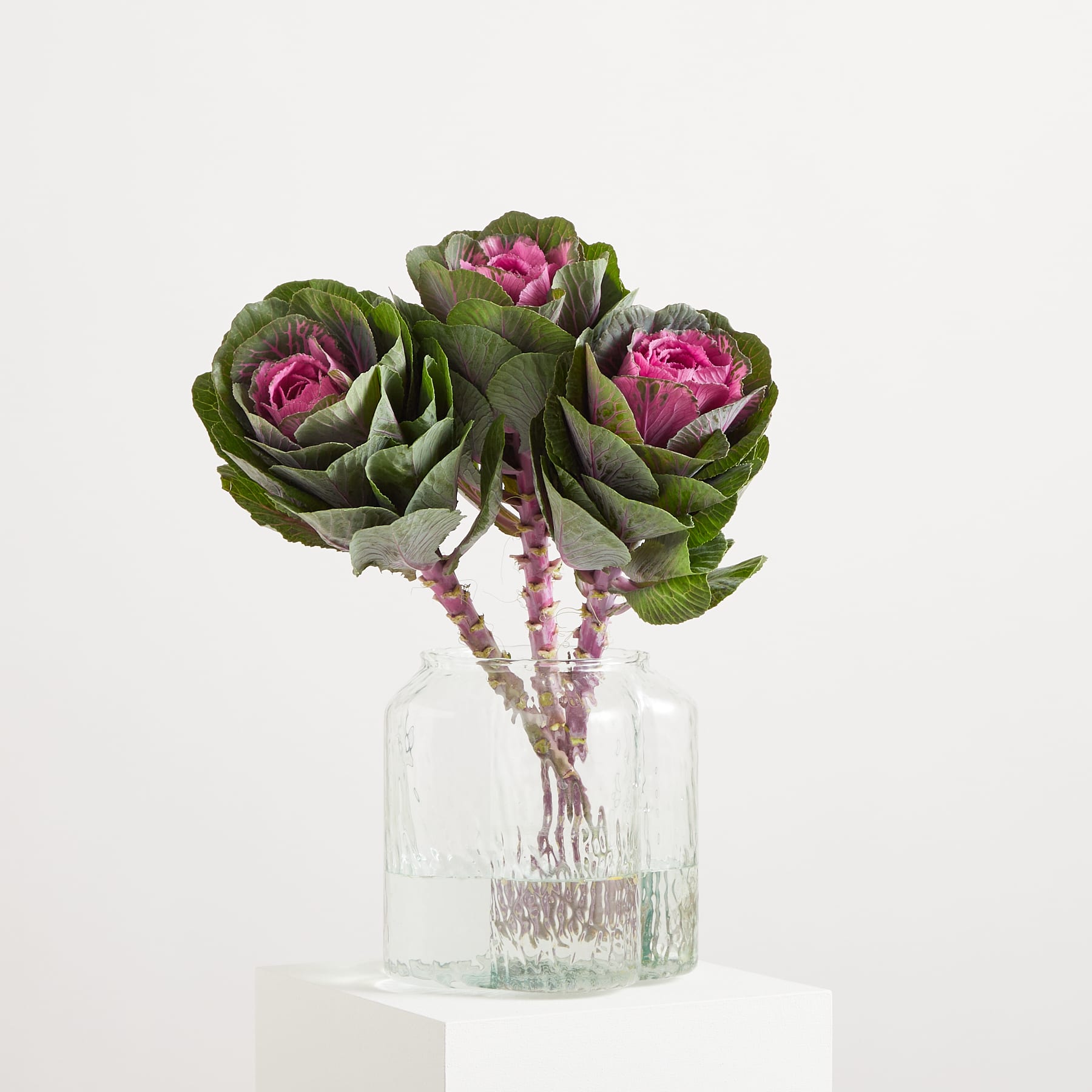 Ein Strauß leuchtend rosa Rosen, eingebettet zwischen üppigen grünen Blättern, präsentiert in einer klaren Glasvase vor einem schlichten weißen Hintergrund. (Beschreibungstext KI-generiert)
