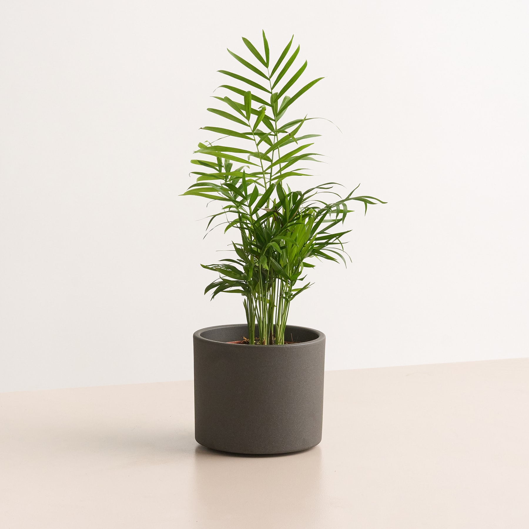 Keramik Übertopf Anthrazit - 13,5 cm 