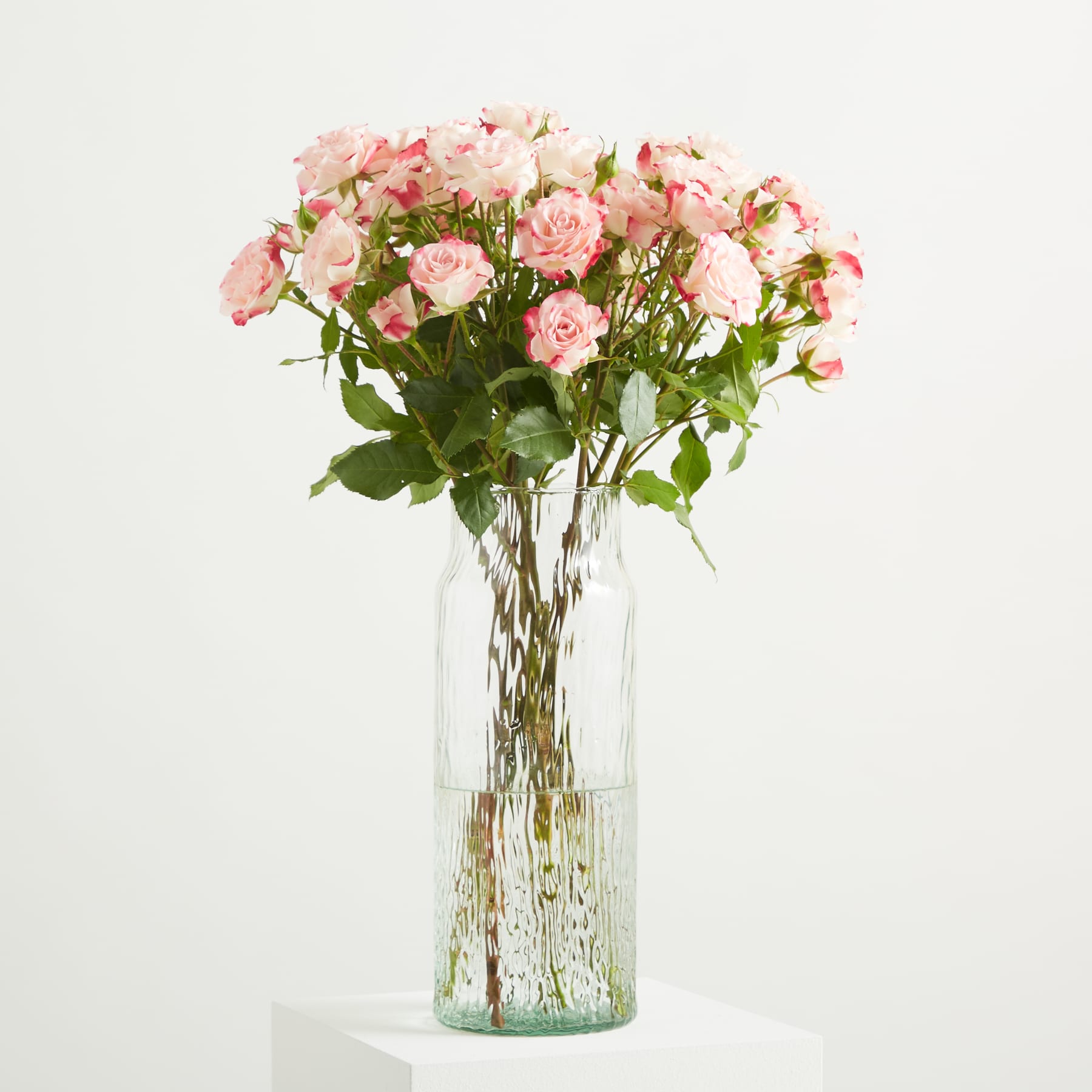 Ein Strauß zarter, blassrosa Rosen mit üppigem, grünem Laub vor einem schlichten, weißen Hintergrund.