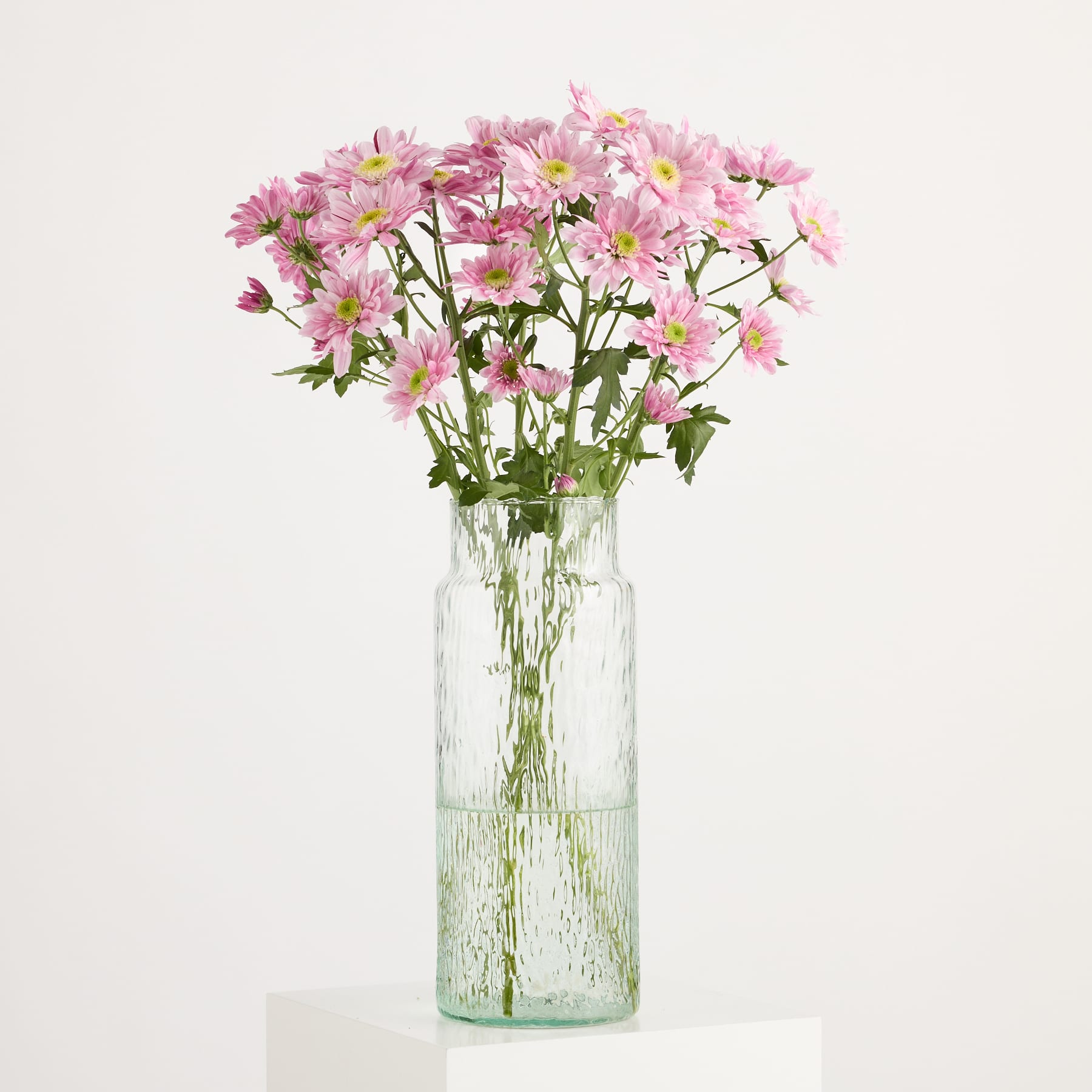 Ein Strauß leuchtend rosa und weißer Gänseblümchen steht in einer hohen, durchsichtigen Glasvase vor einem schlichten weißen Hintergrund.