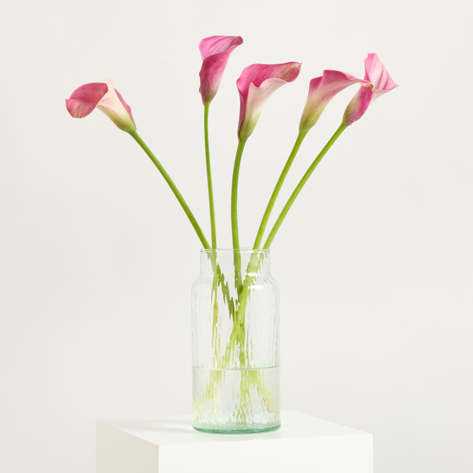 Ein Strauß leuchtend pinkfarbener Calla-Lilien steht in einer durchsichtigen Glasvase vor einem schlichten weißen Hintergrund.