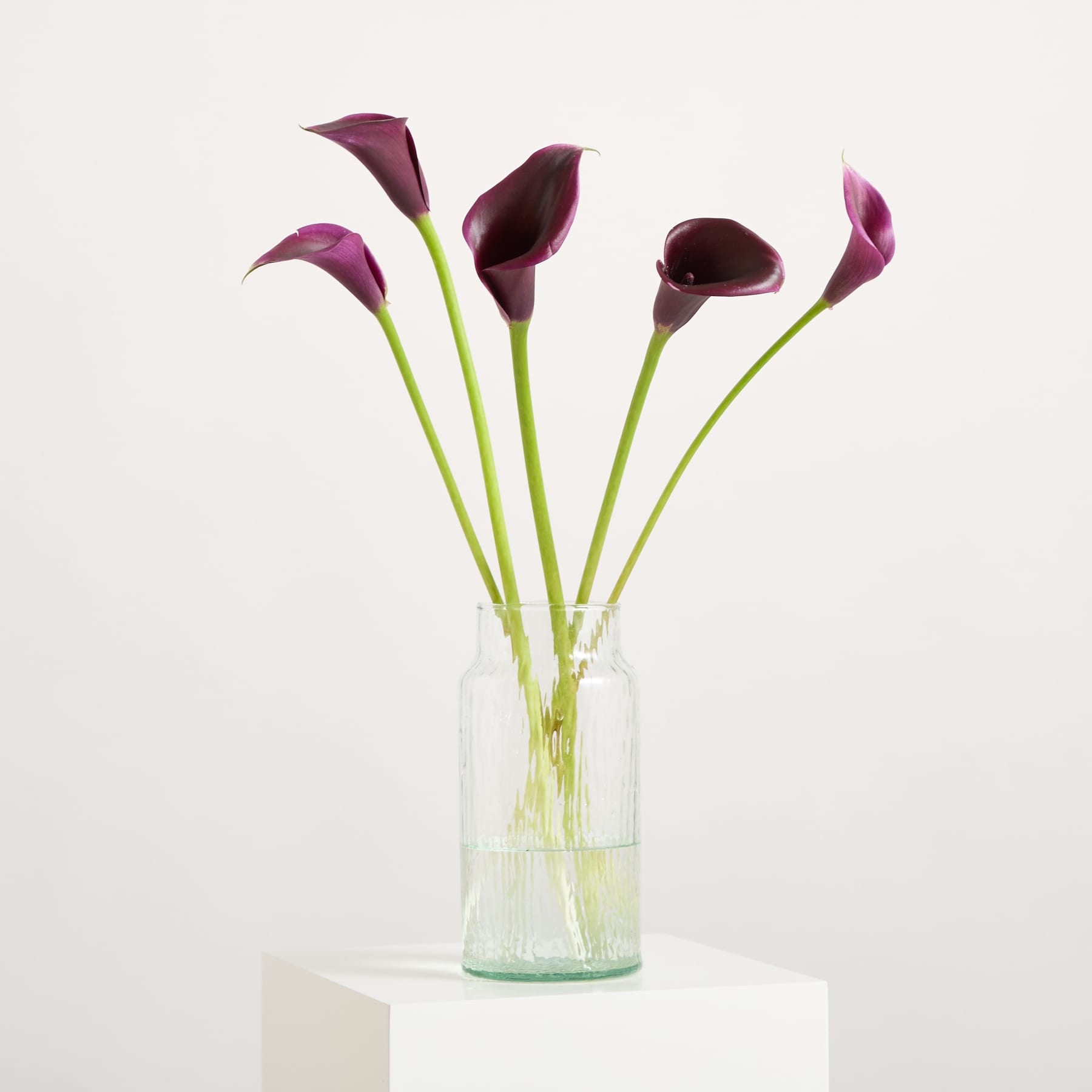 Ein Strauß leuchtend violetter Calla-Lilien steht in einer durchsichtigen Glasvase vor einem schlichten weißen Hintergrund.