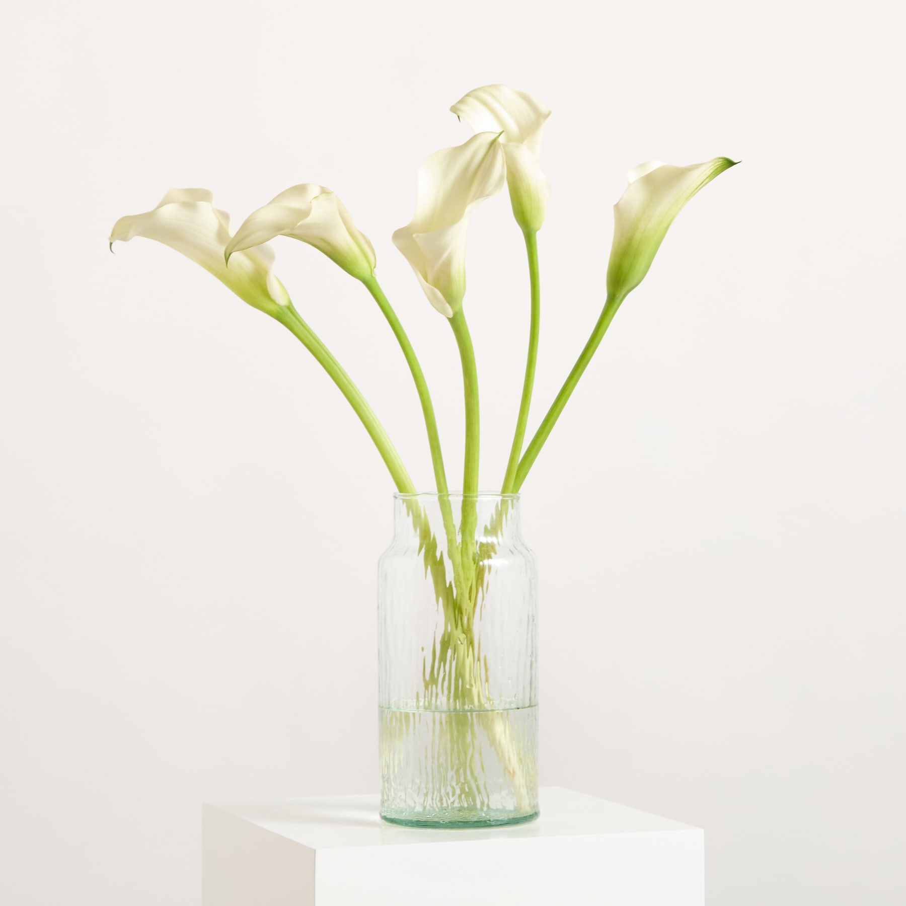 Ein Strauß eleganter weißer Calla-Lilien steht in einer durchsichtigen Glasvase vor einem schlichten weißen Hintergrund.