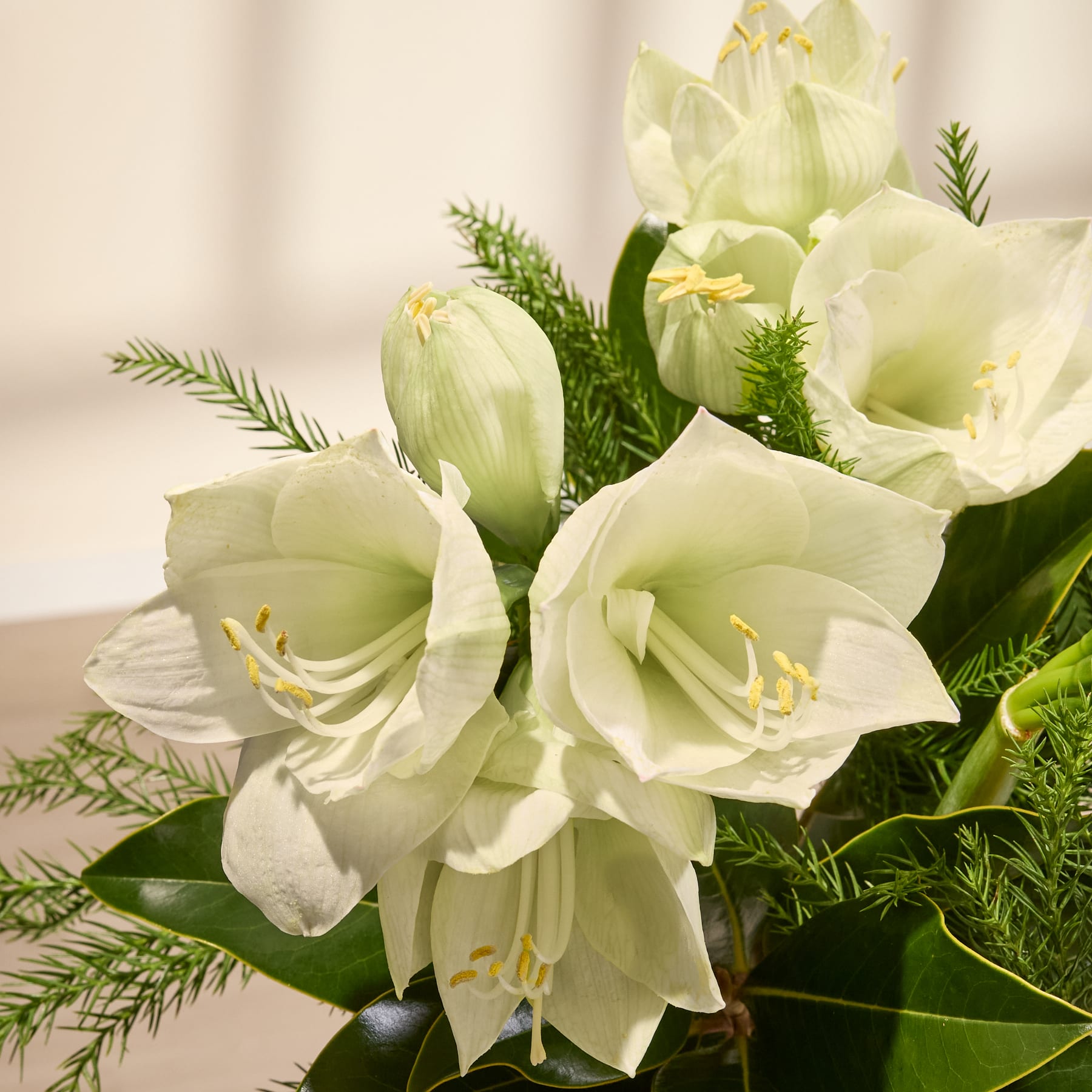 Ein Strauß weißer und grüner Blumen, darunter Tulpen und Grünpflanzen, wird vor einem schlichten weißen Hintergrund in den Händen einer Person gehalten.