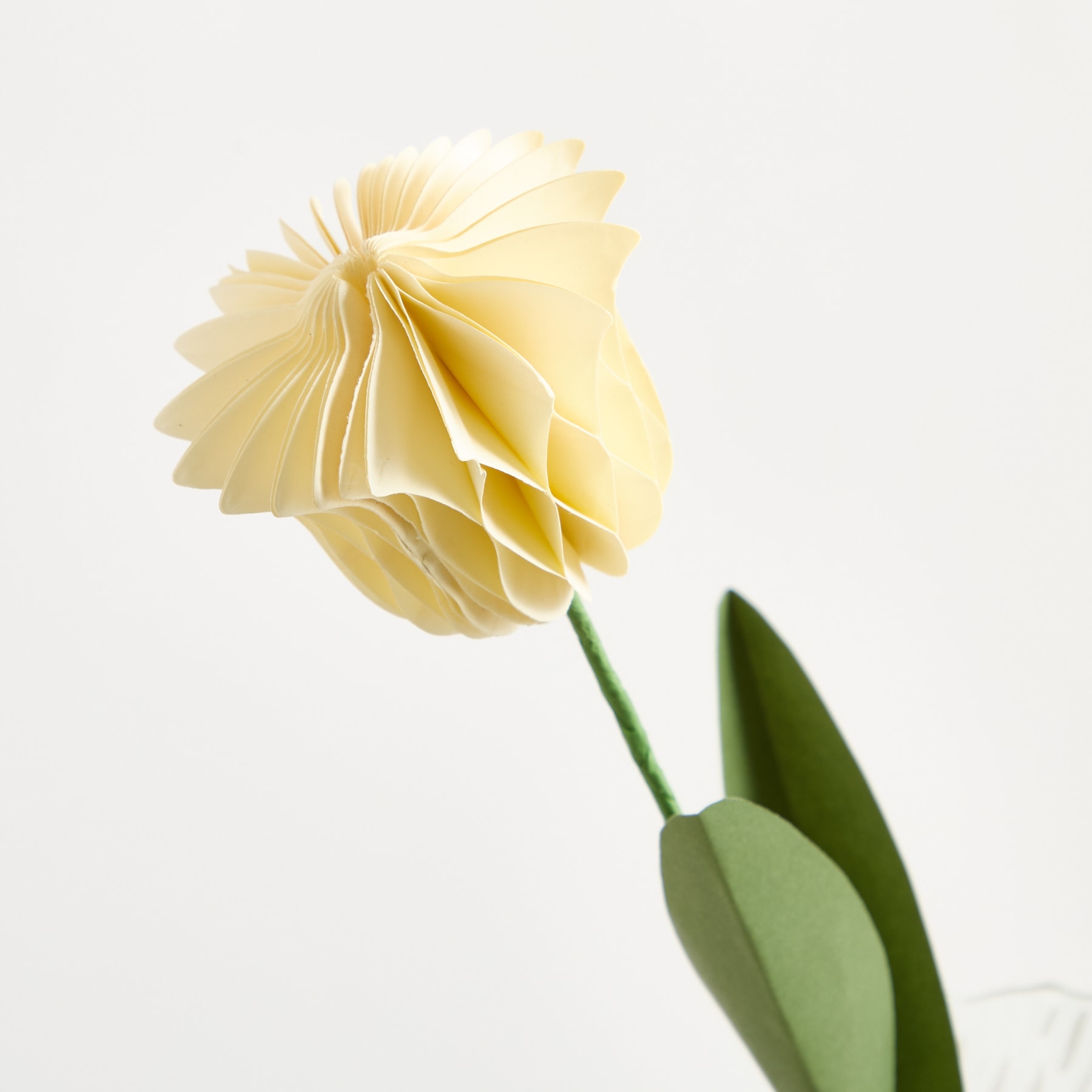 Eine zarte gelbe Papierblume mit gefalteten Blütenblättern hebt sich von einem schlichten weißen Hintergrund ab, ihr grüner Stiel und ihre Blätter bilden einen natürlichen Kontrast.