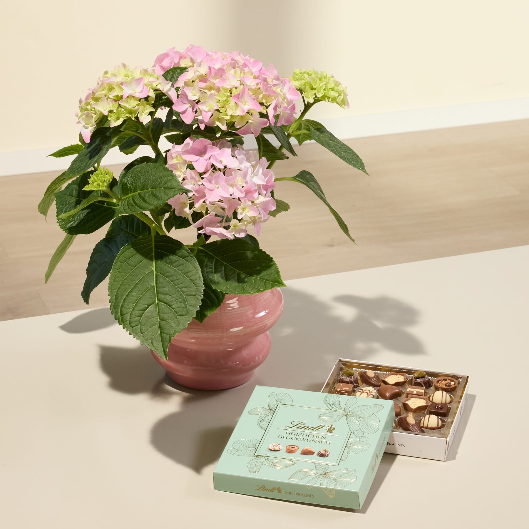 Hortensienschatz mit Lindt Pralinés Glückwunsch 100g