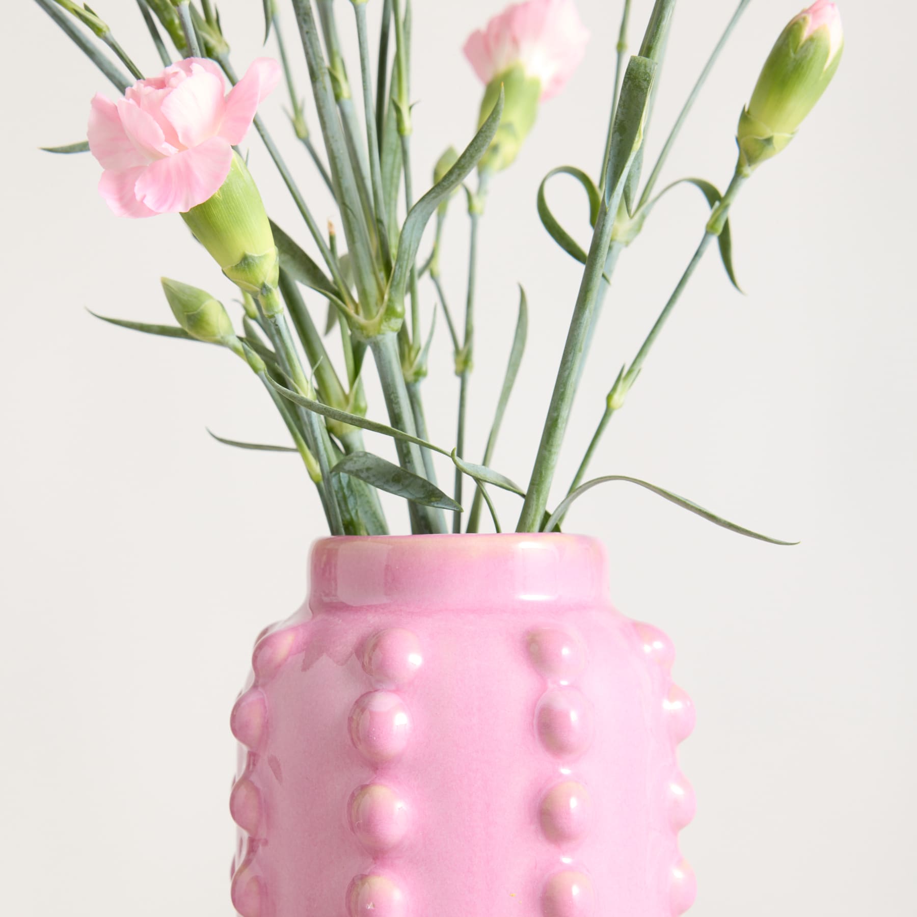 Ein Strauß rosa Nelken in einer rosa gepunkteten Vase vor schlichtem weißen Hintergrund.