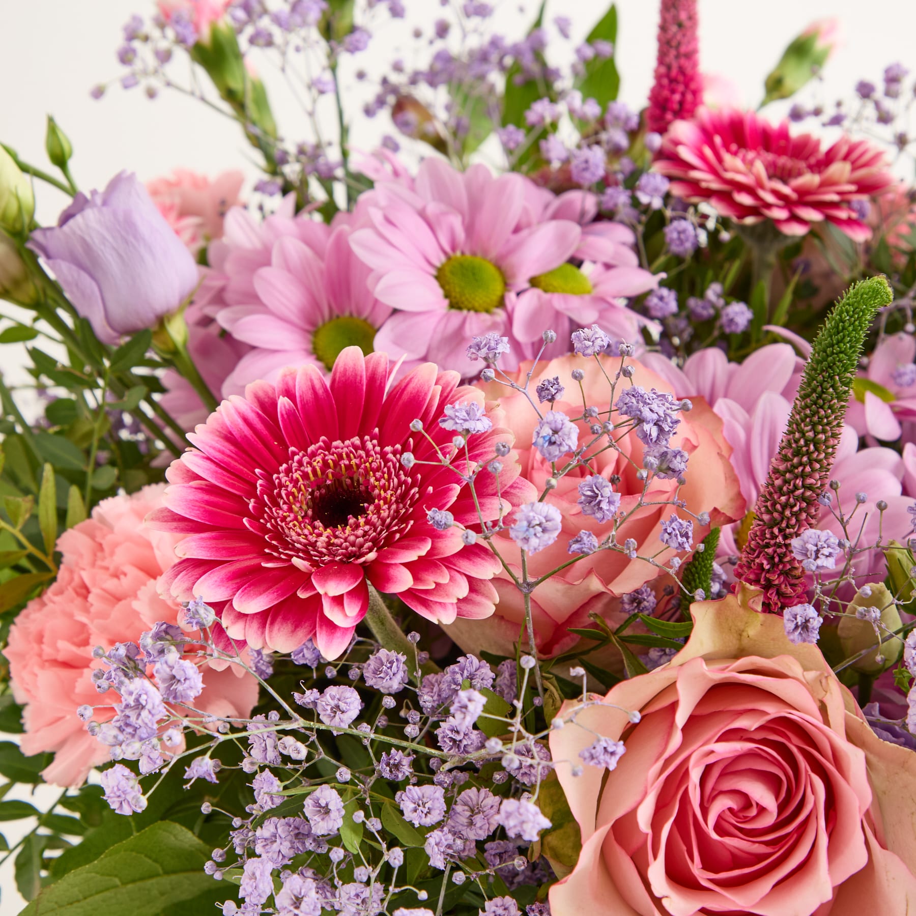 Schön, dass es dich gibt - Valentinstags-Edition