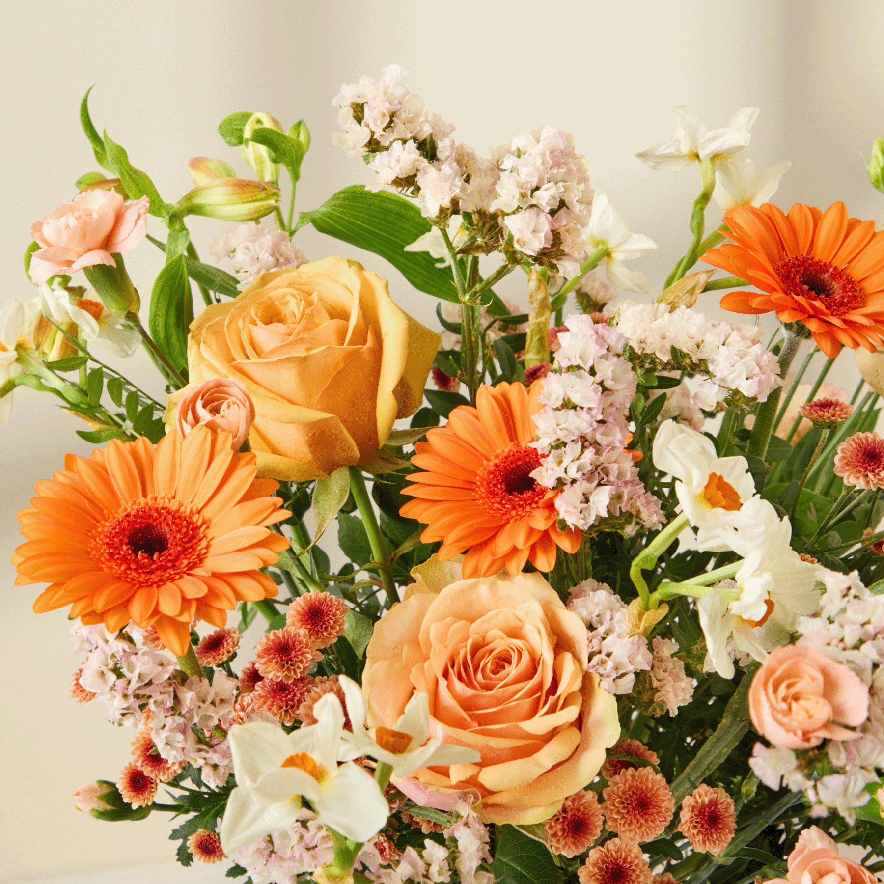 Frühlingsgeflüster